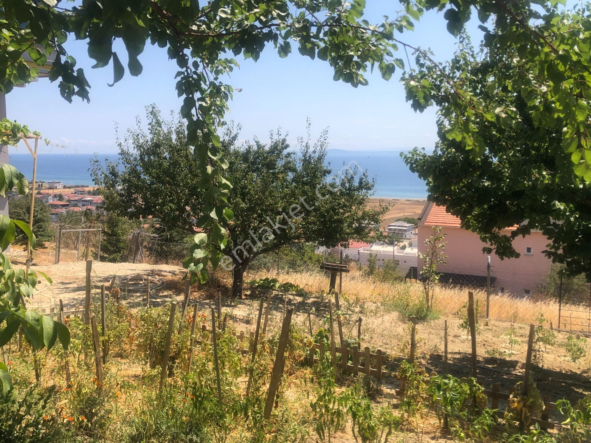 Şarköy De Işık Emlaktan İstiklal Mah De 286 M2 0/25 İmarlı Arsa - Görsel 13