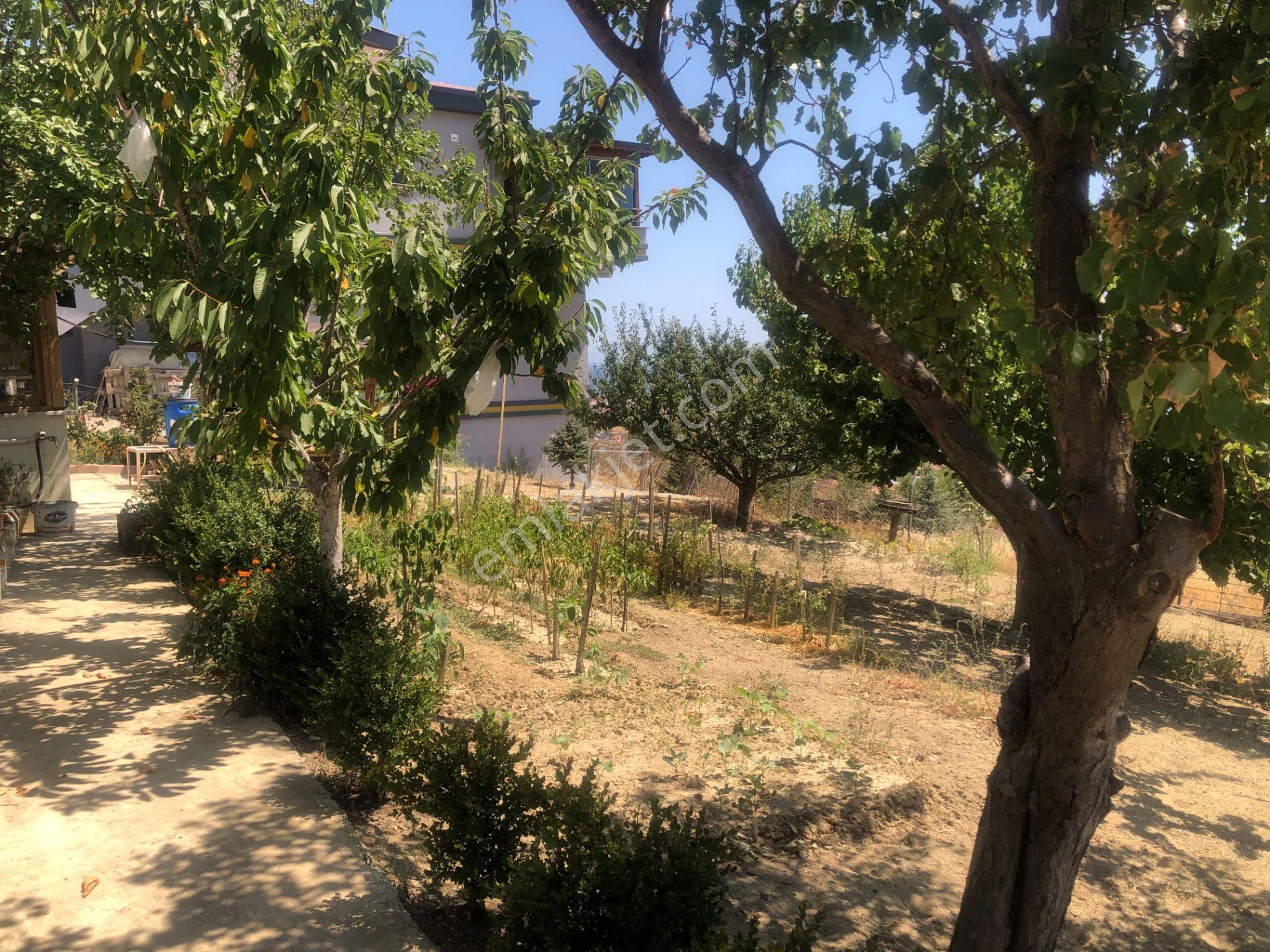 Şarköy De Işık Emlaktan İstiklal Mah De 286 M2 0/25 İmarlı Arsa - Görsel 15