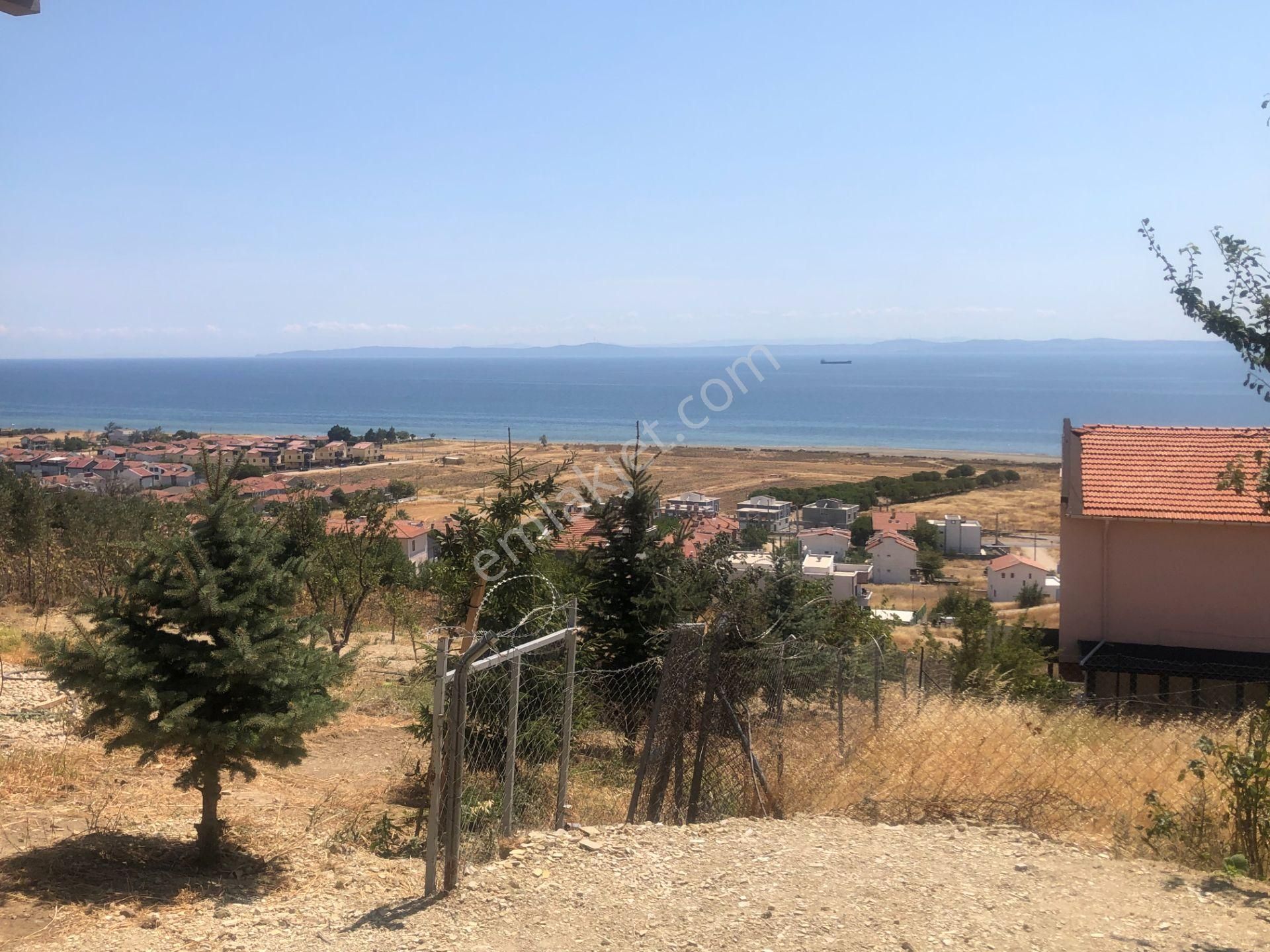 Şarköy De Işık Emlaktan İstiklal Mah De 286 M2 0/25 İmarlı Arsa - Görsel 19