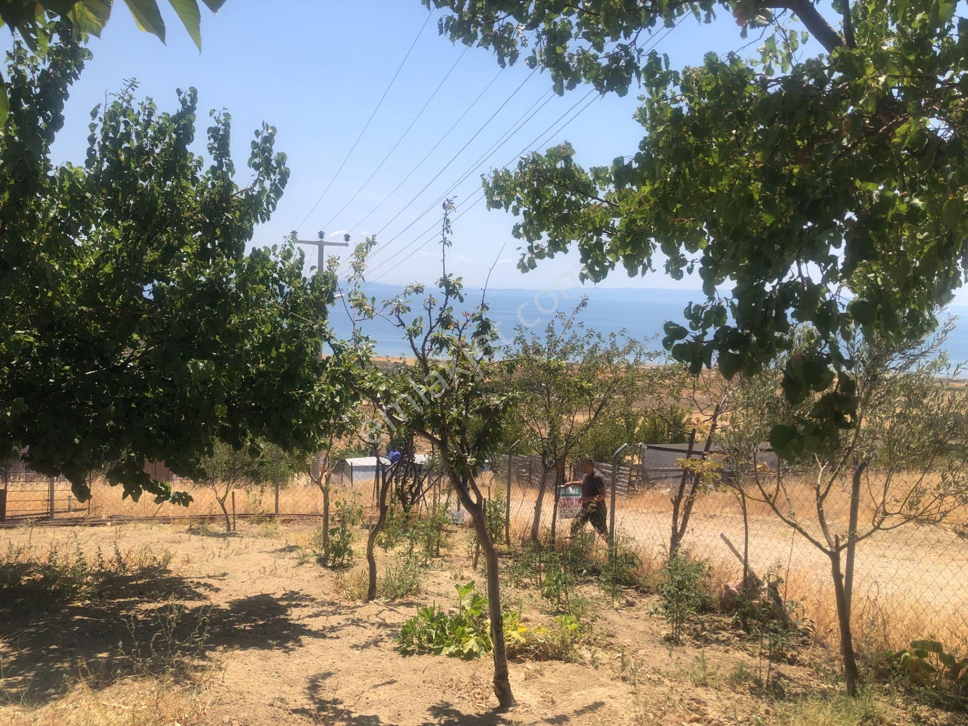 Şarköy De Işık Emlaktan İstiklal Mah De 286 M2 0/25 İmarlı Arsa - Görsel 14