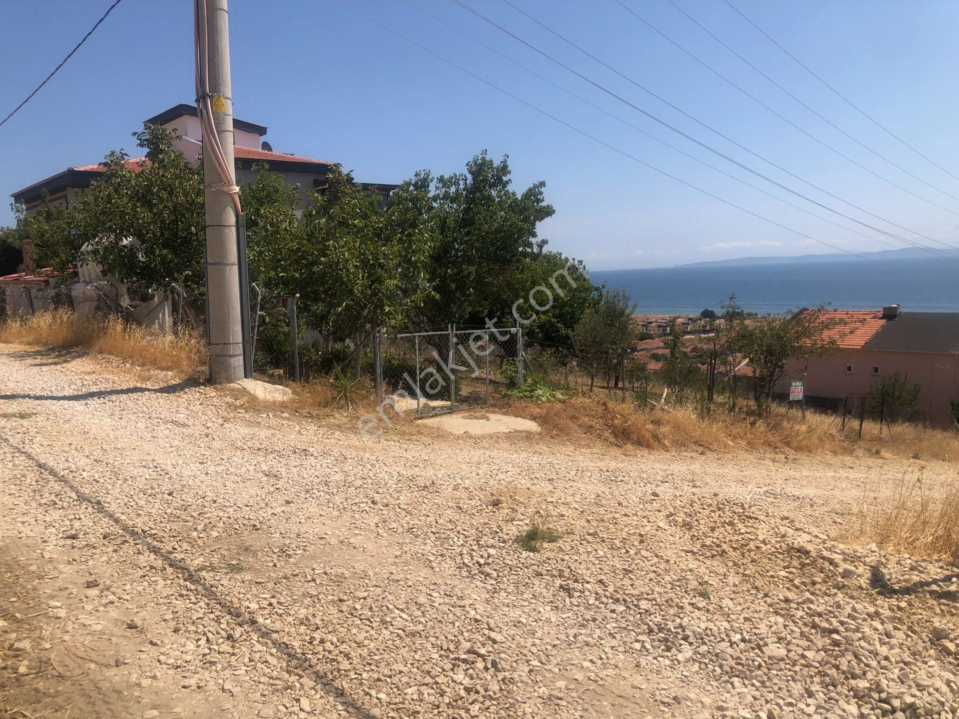 Şarköy De Işık Emlaktan İstiklal Mah De 286 M2 0/25 İmarlı Arsa - Görsel 21