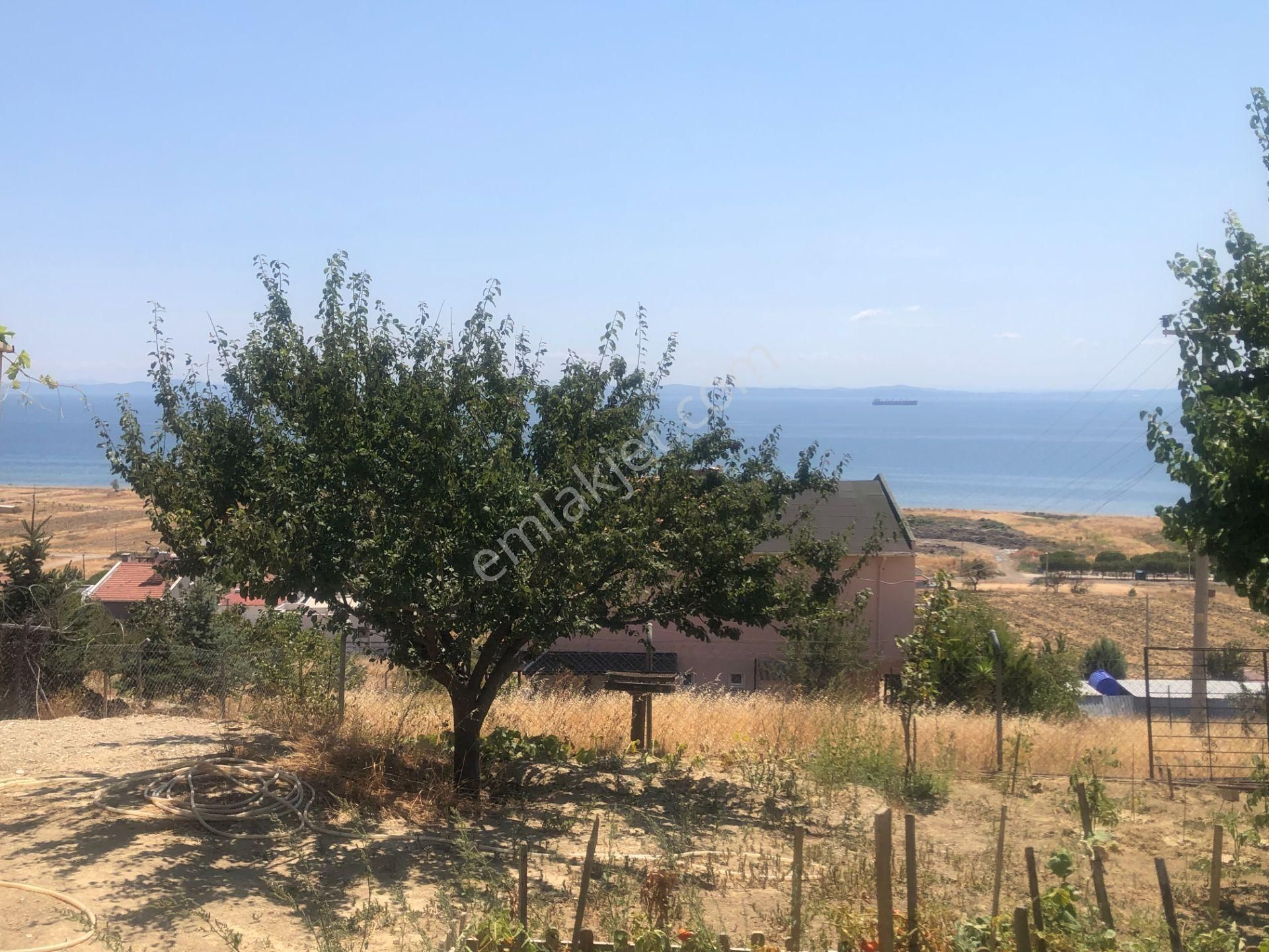 Şarköy De Işık Emlaktan İstiklal Mah De 286 M2 0/25 İmarlı Arsa - Görsel 12