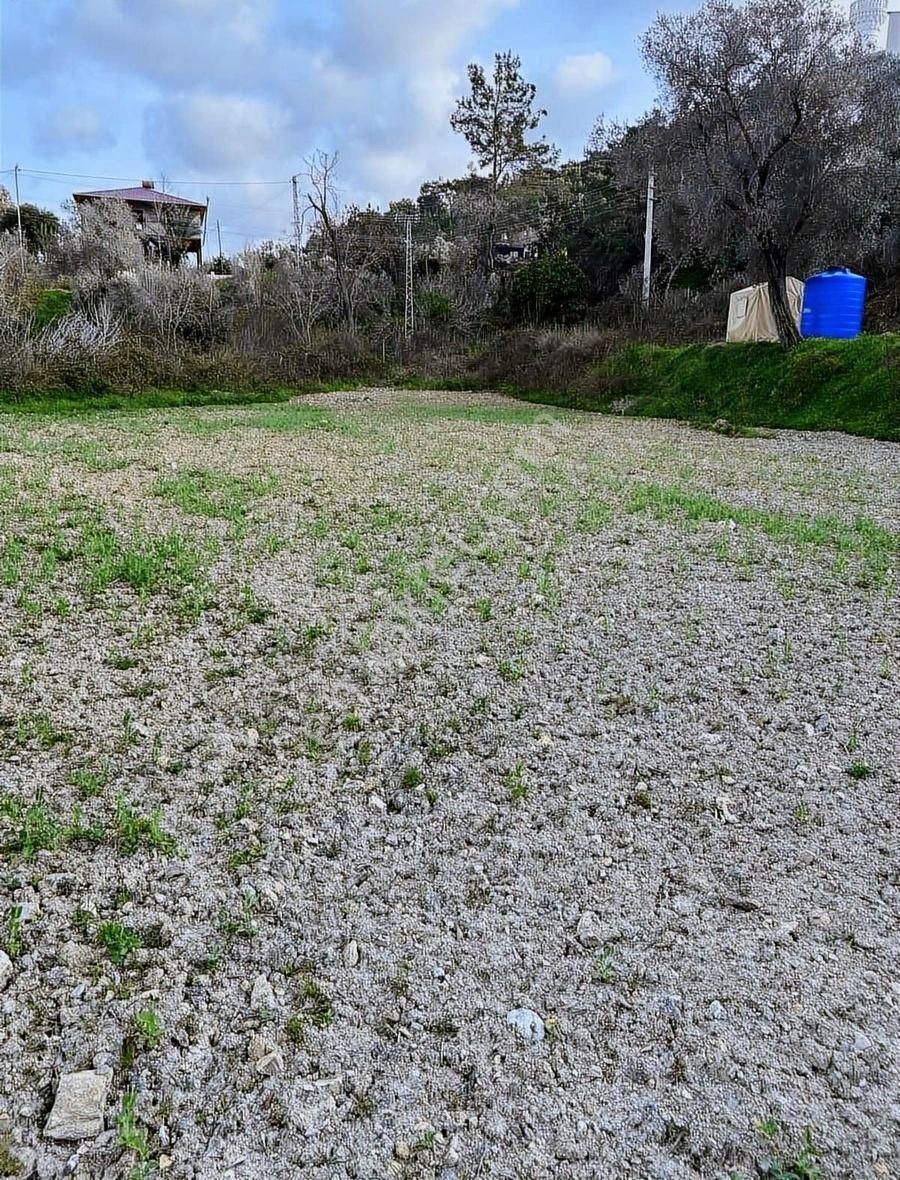 Alanya Uğrak Mah Satılık 2.216m2 Tarla 70m Yol Cephesi Mevcut - Görsel 8