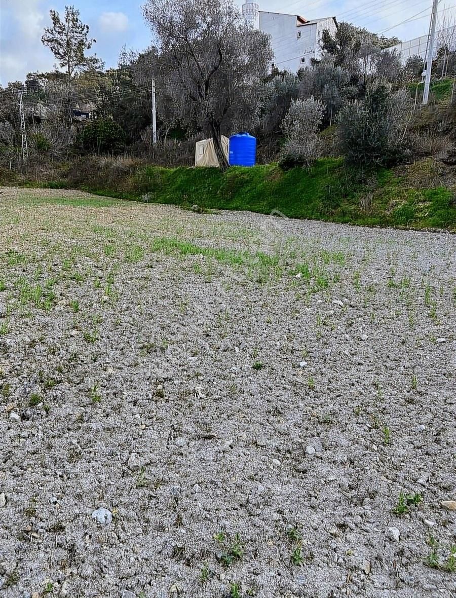 Alanya Uğrak Mah Satılık 2.216m2 Tarla 70m Yol Cephesi Mevcut - Görsel 6