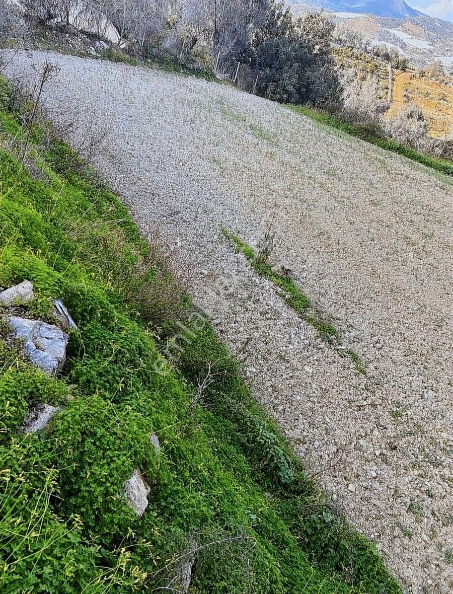 Alanya Uğrak Mah Satılık 2.216m2 Tarla 70m Yol Cephesi Mevcut - Görsel 2