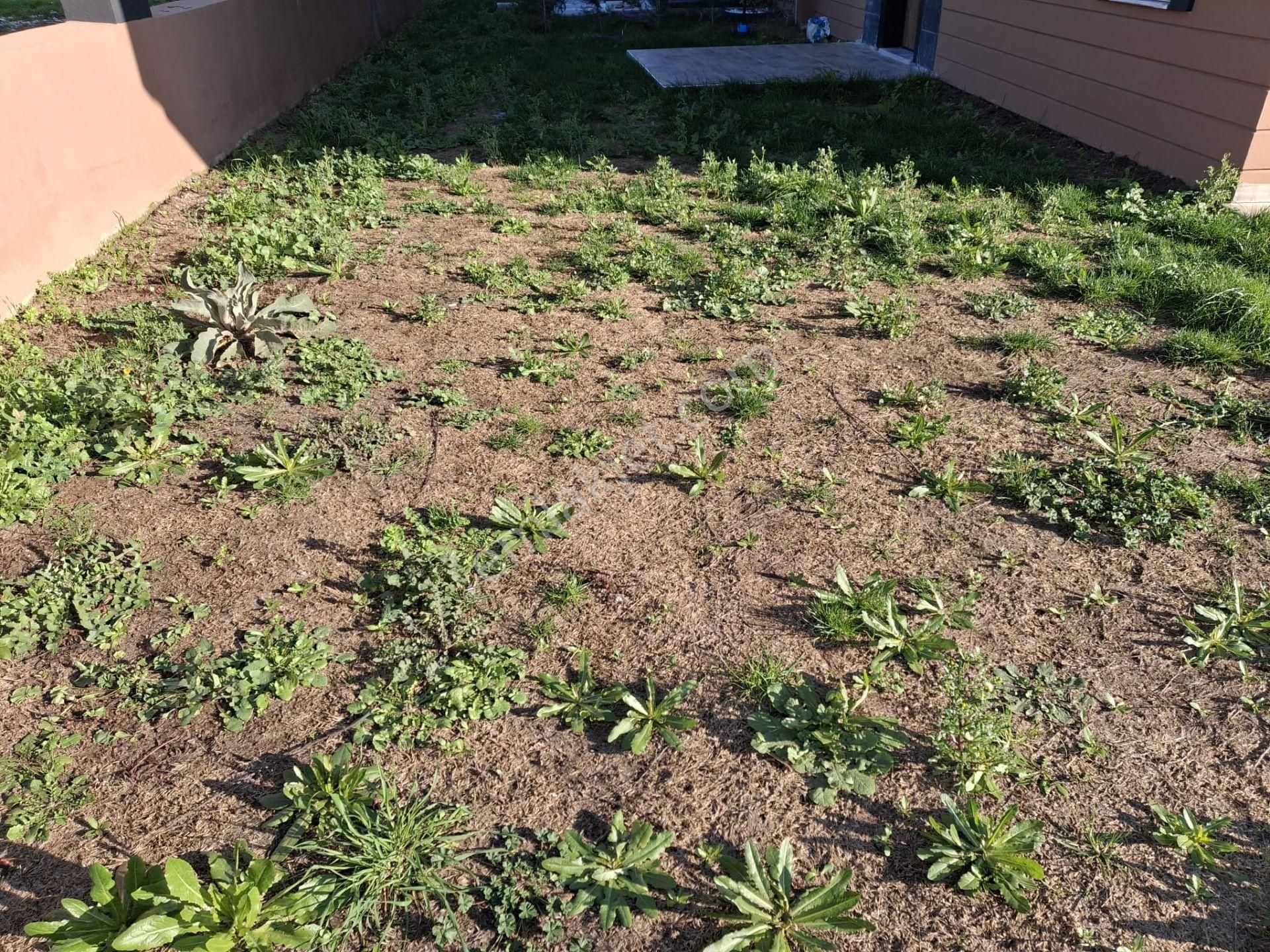 Bal Gayrimenkul -gölcüklerde Açık Mutfak Geniş Bahçeli 4+1 Villa - Görsel 2