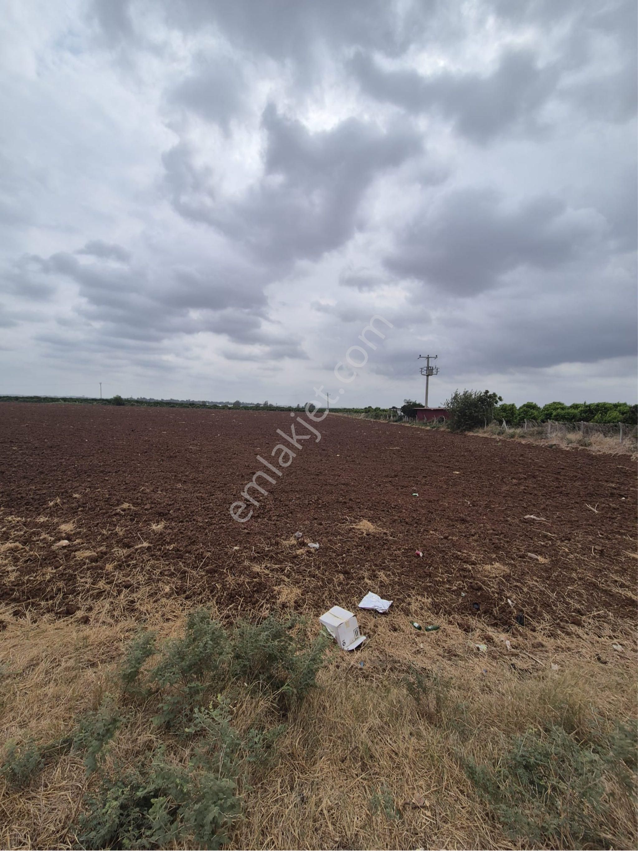 Sarıçam İncirlik Civarı Asvalt Kenarı Her Projeye Uygun Arazi - Görsel 3