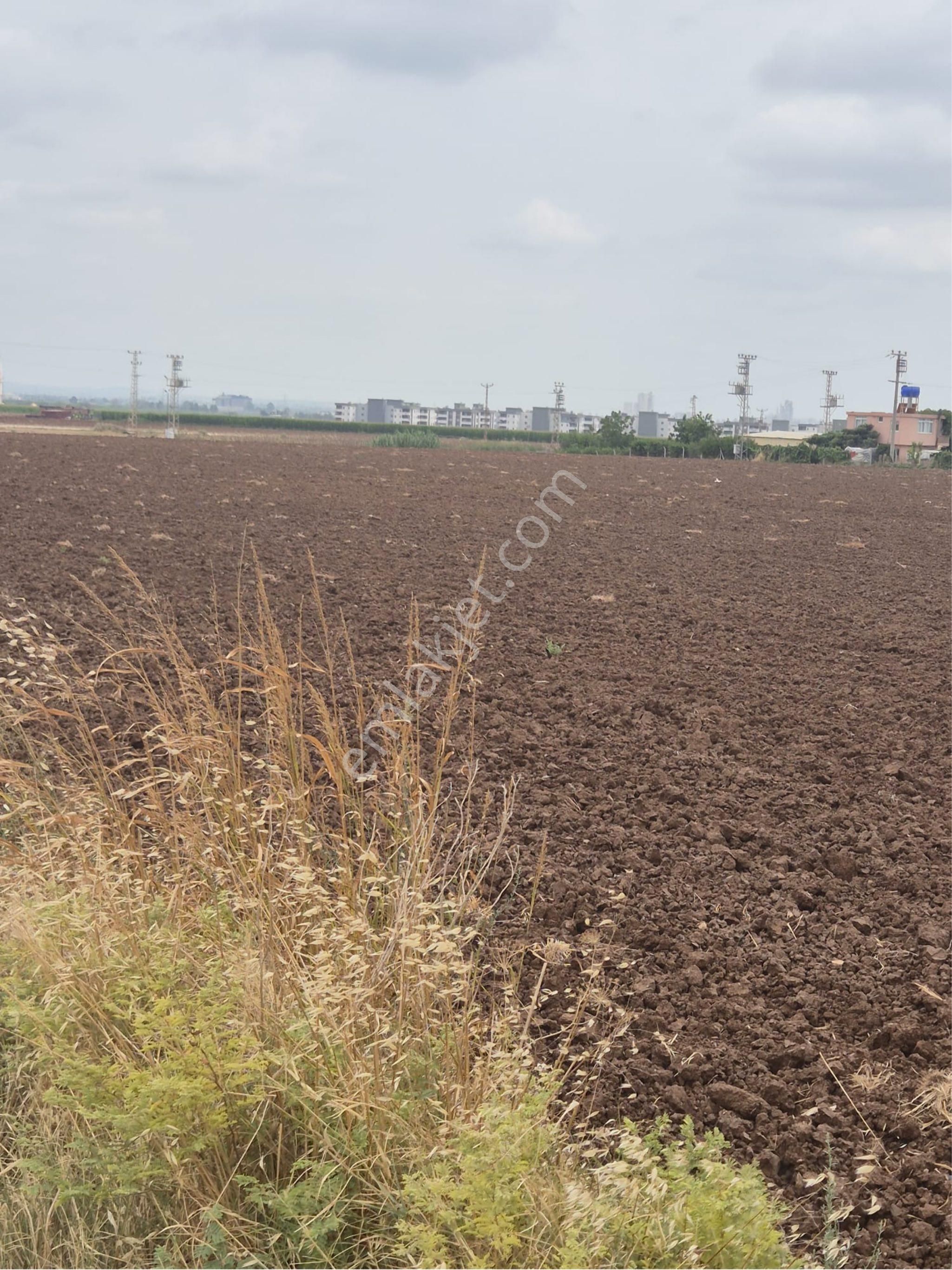 Sarıçam İncirlik Civarı Asvalt Kenarı Her Projeye Uygun Arazi - Görsel 8