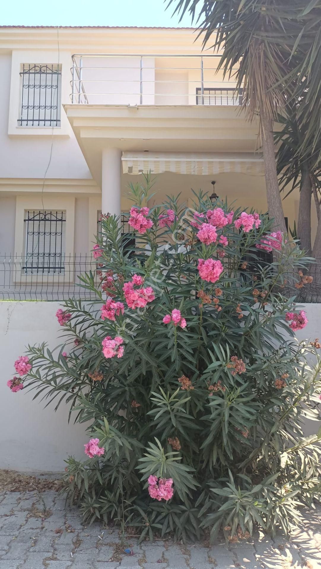 Alaçatı Gayrimenkulden Alaçatı Merkeze Yakın Satılık Villa - Görsel 3