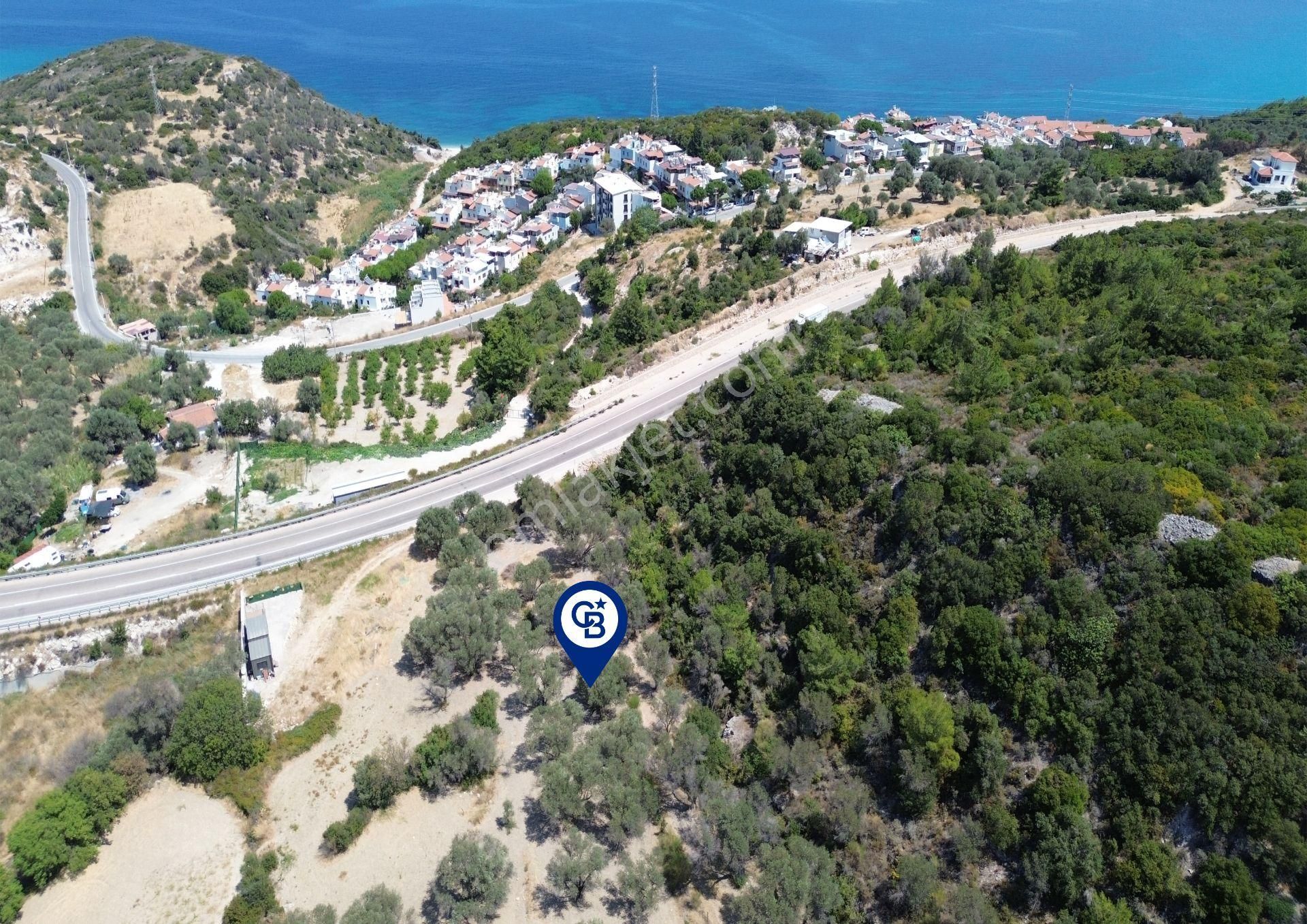 Mordoğan'da Denize 500 M Mesafede Zeytin Ağaçlı Tarla - Görsel 10