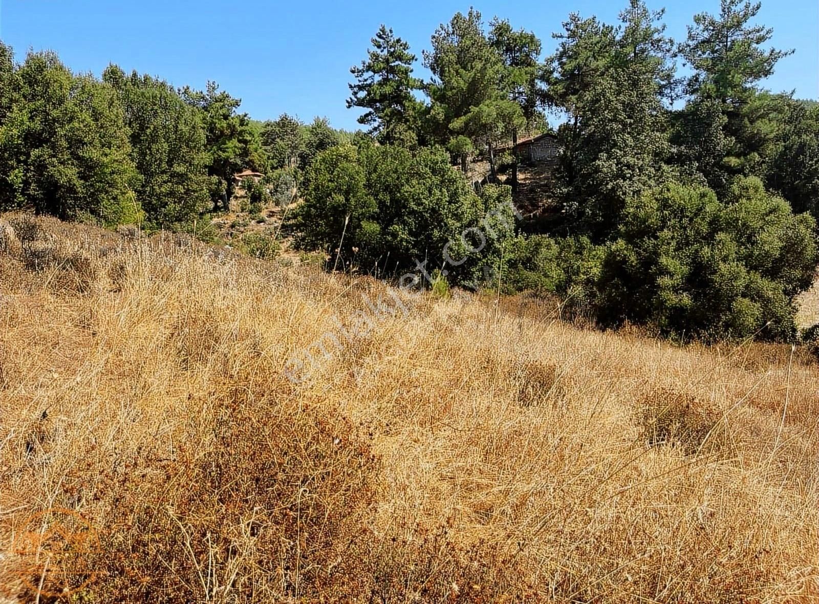 Muğla Ula Gölcük Mahalle'sinde Satılık Yatırımlık Tarla - Görsel 9