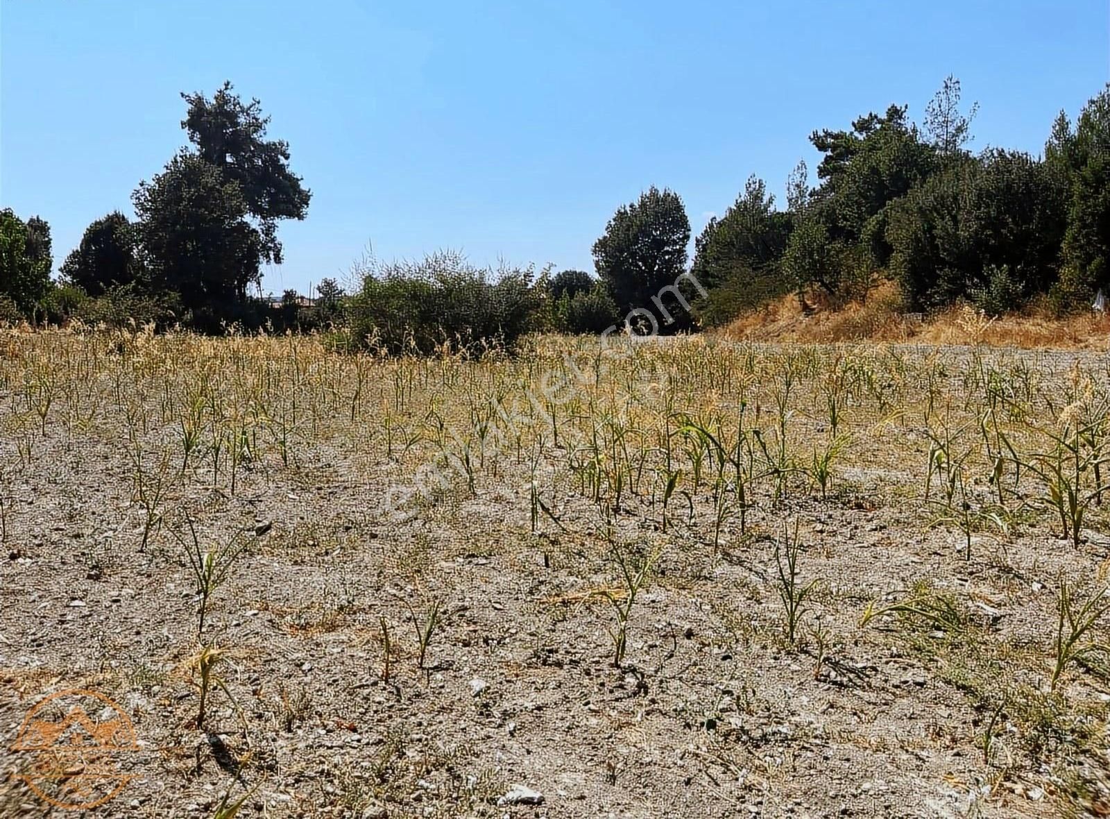 Muğla Ula Gölcük Mahalle'sinde Satılık Yatırımlık Tarla - Görsel 8