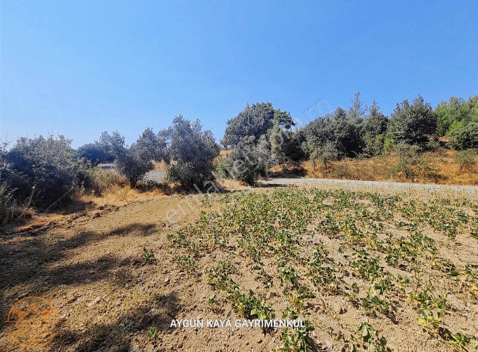 Muğla Ula Gölcük Mahalle'sinde Satılık Yatırımlık Tarla - Görsel 34