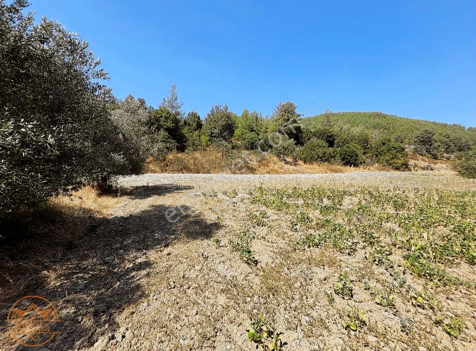 Muğla Ula Gölcük Mahalle'sinde Satılık Yatırımlık Tarla - Görsel 21