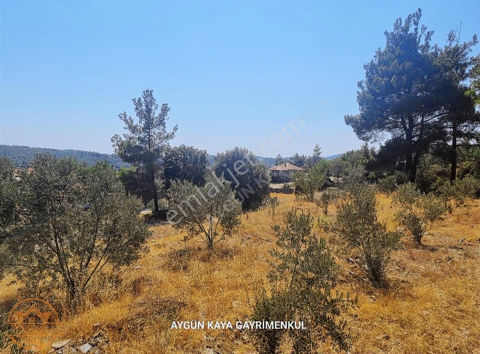 Muğla Ula Gölcük Mahalle'sinde Satılık Yatırımlık Tarla - Görsel 25