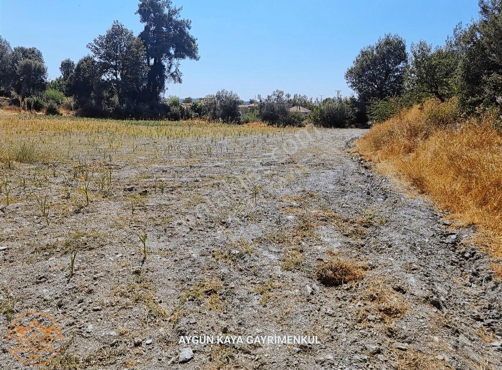 Muğla Ula Gölcük Mahalle'sinde Satılık Yatırımlık Tarla - Görsel 17