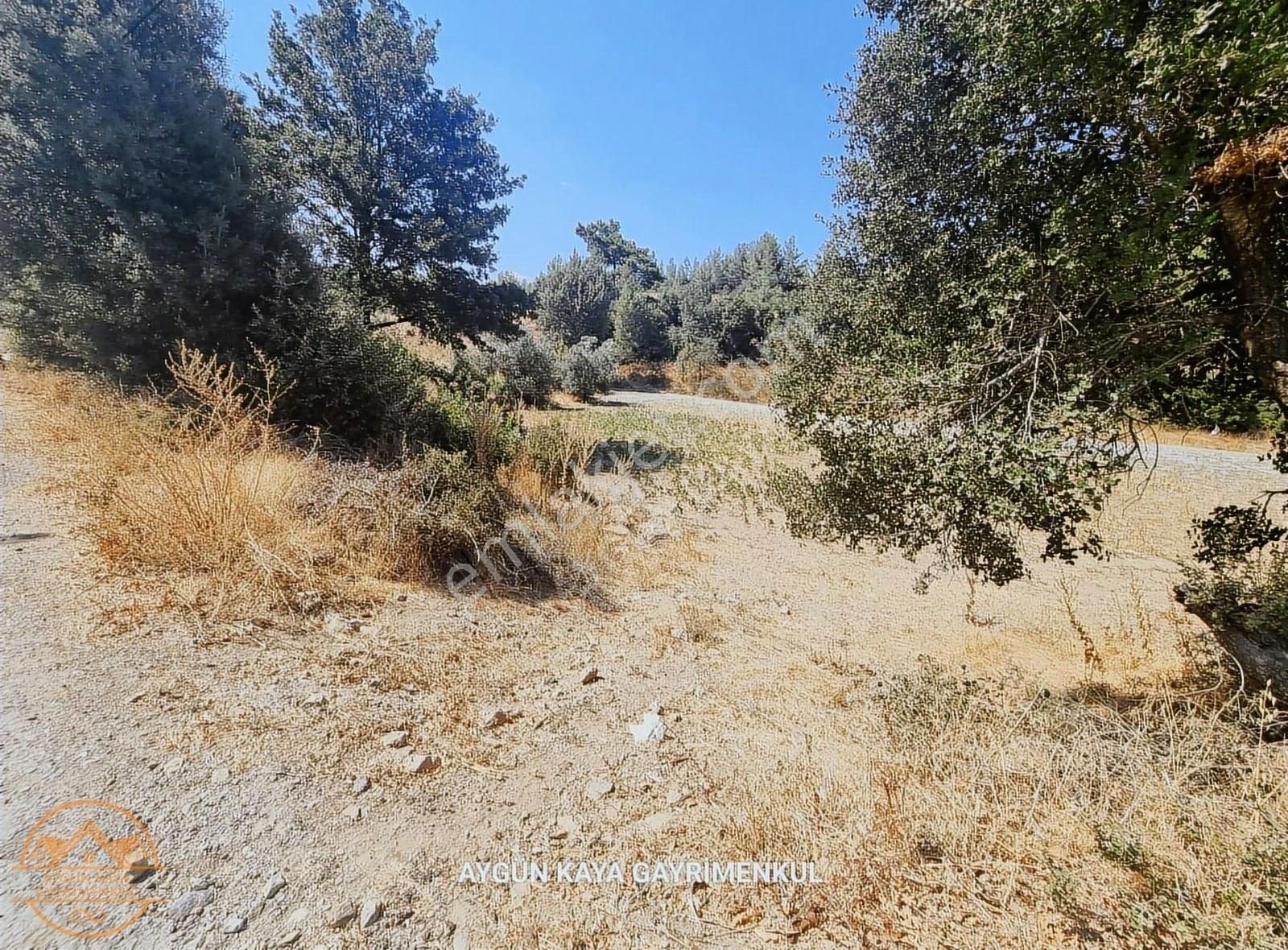 Muğla Ula Gölcük Mahalle'sinde Satılık Yatırımlık Tarla - Görsel 32