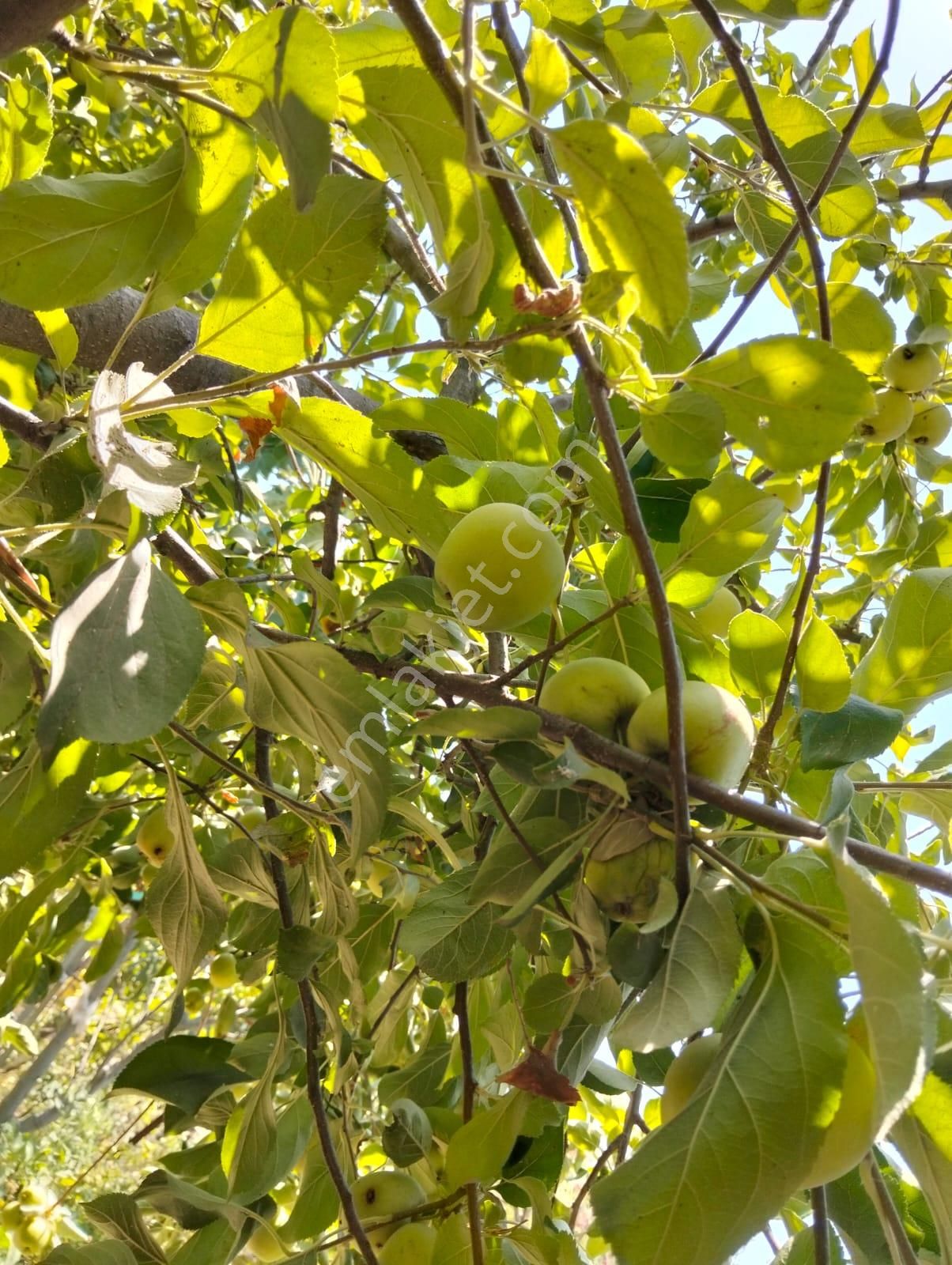 Menderes Kısık'ta 505 M2 Arsa İçinde 80 M2 2+1 Müstakil Ev - Görsel 25