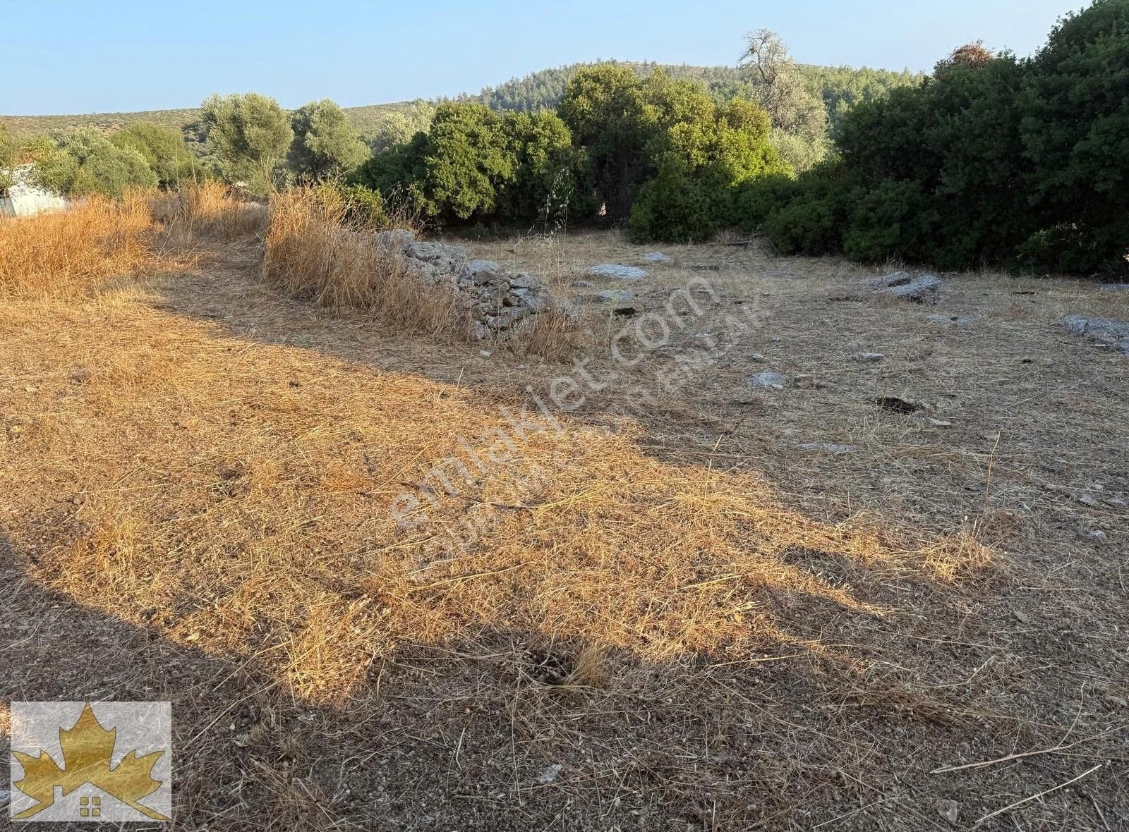 Çınar Emlaktan Bodrum Mazıda Fırsat Köyiçi Tarla Ve Taş Ev