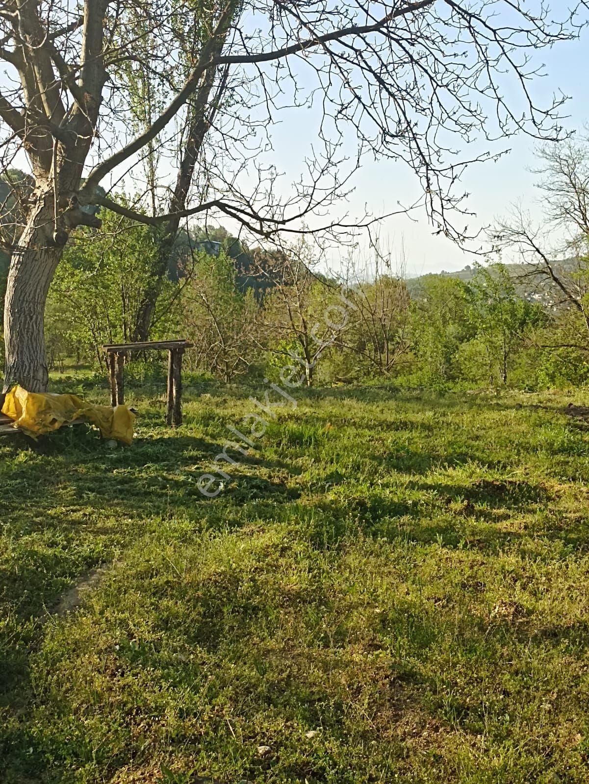 Bursa İnegöl Bahriye Mahallesi Satılık Hobi Bahçesi