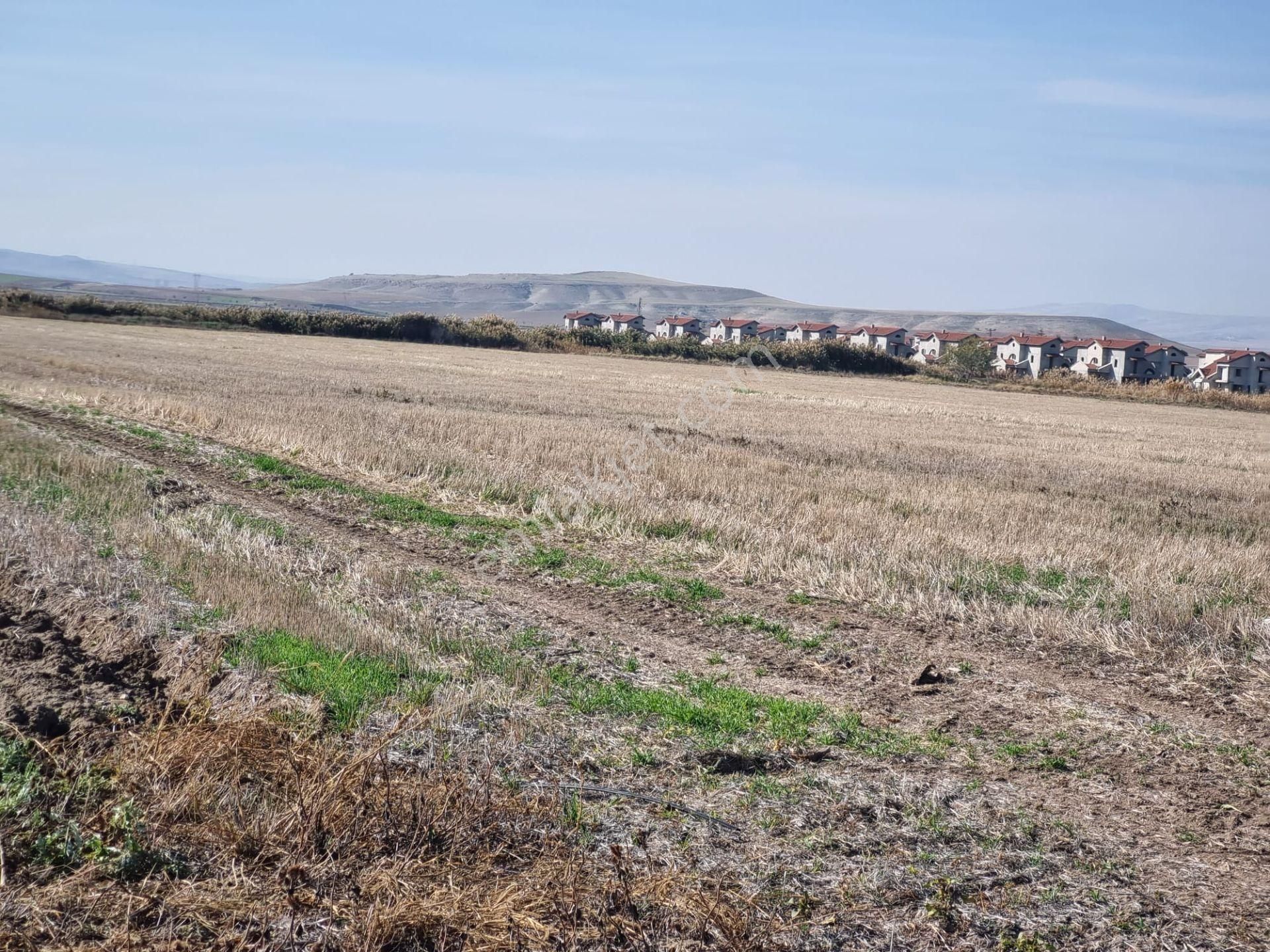 Temelli Malıköy Ihlamurkent Karşısı Satılık İmarlı Arsa - Görsel 8