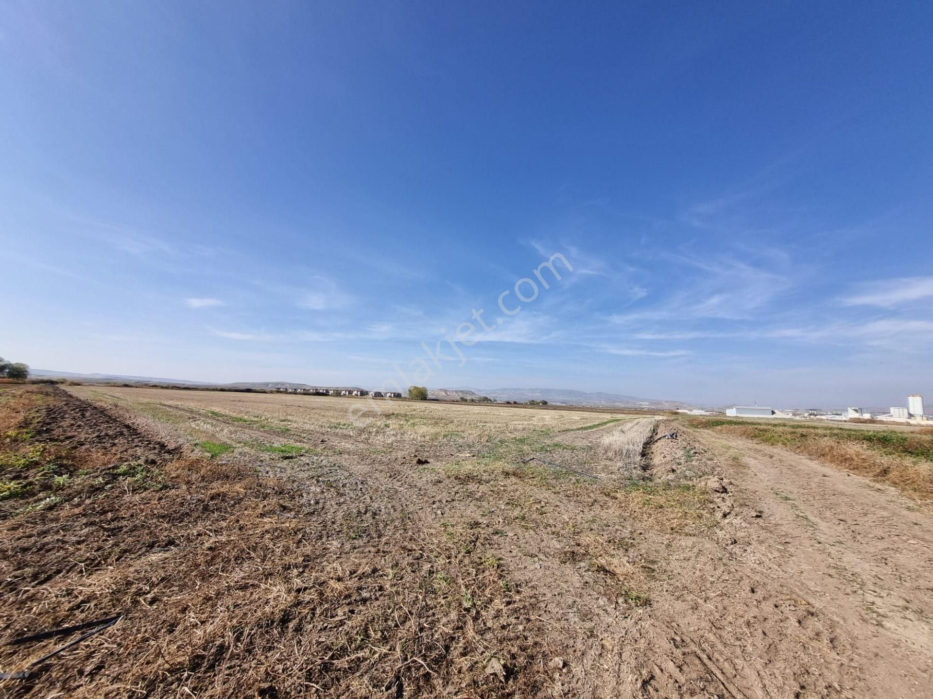 Temelli Malıköy Ihlamurkent Karşısı Satılık İmarlı Arsa - Görsel 26