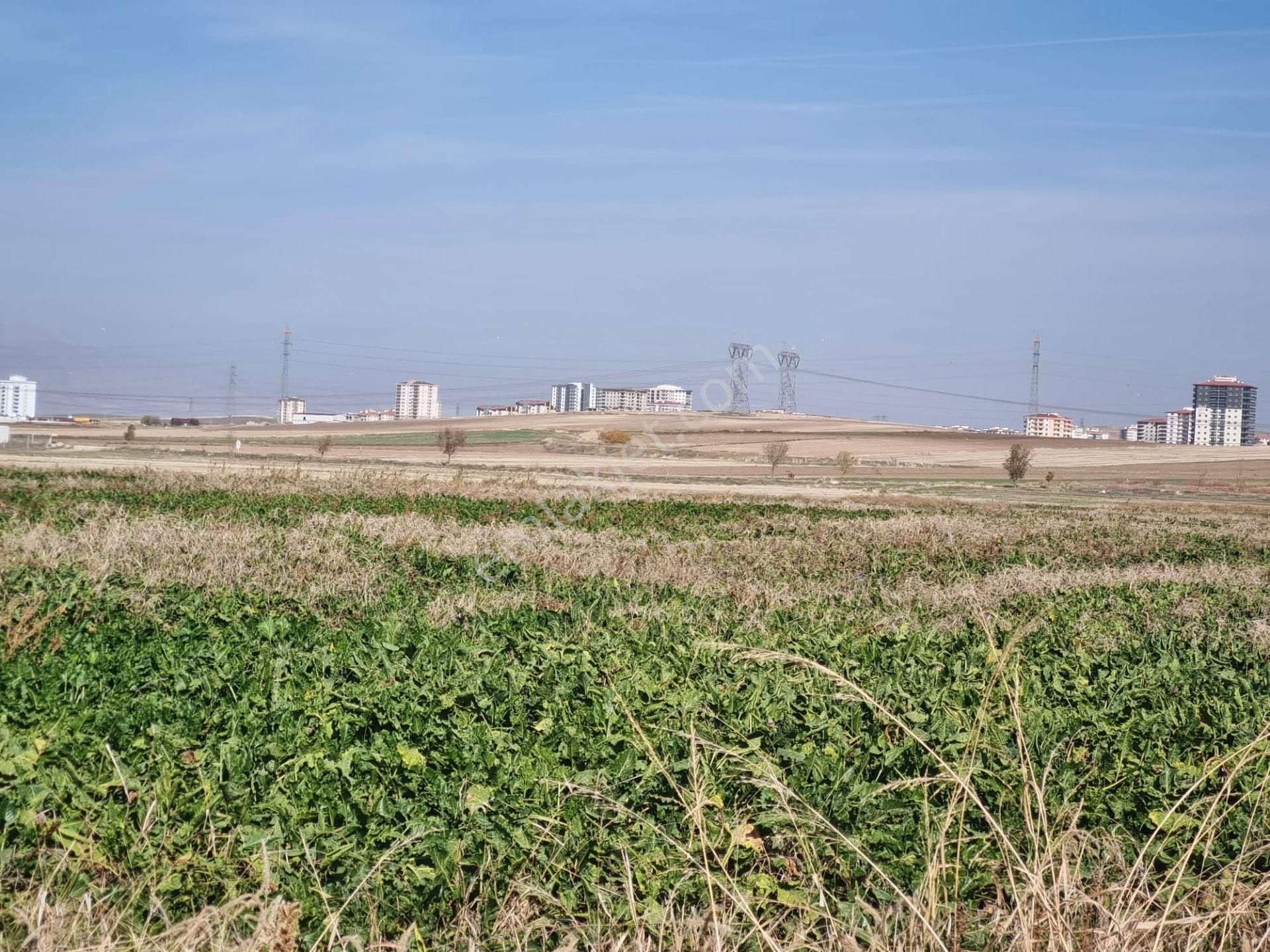 Temelli Malıköy Ihlamurkent Karşısı Satılık İmarlı Arsa - Görsel 19
