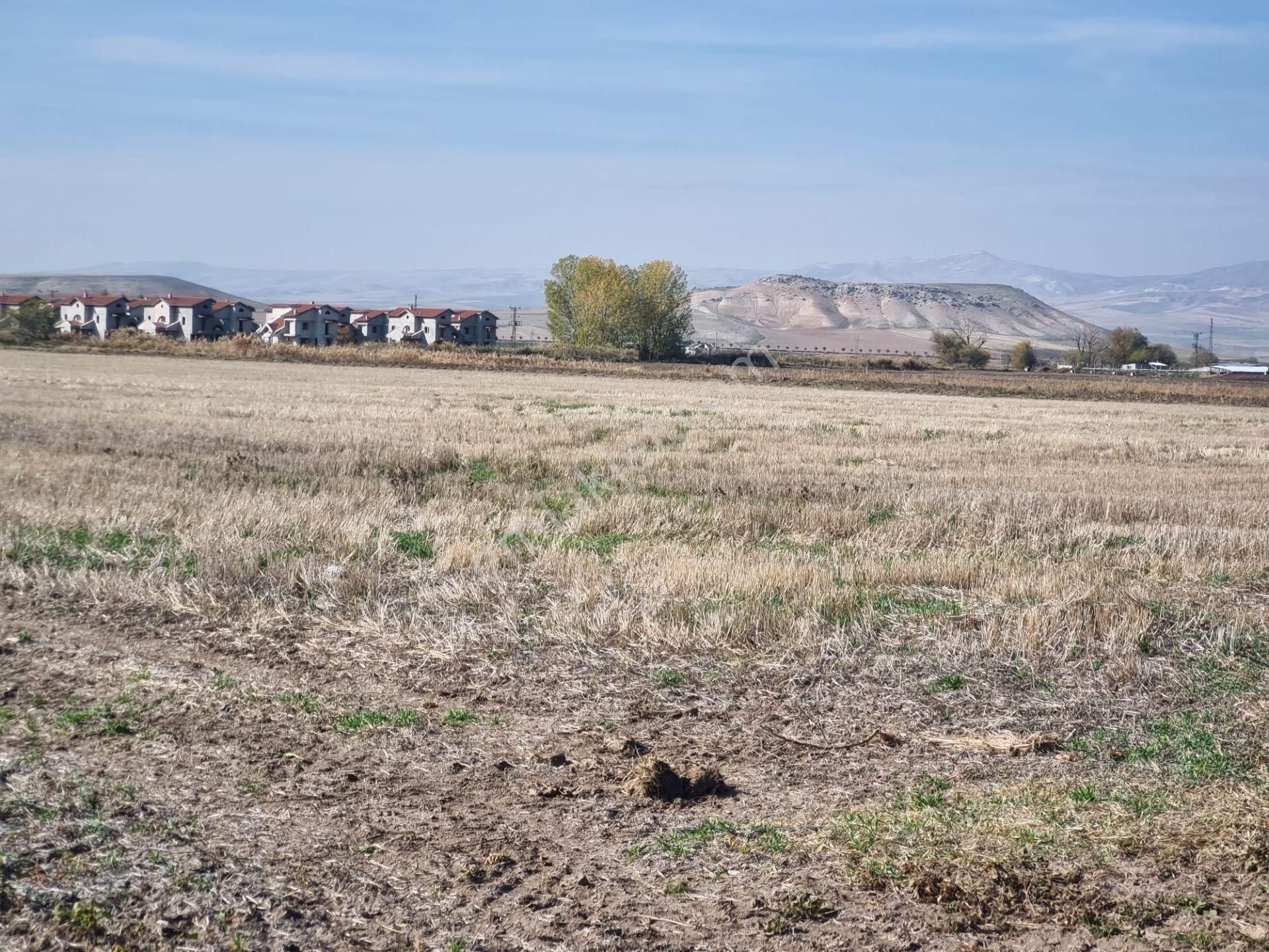 Temelli Malıköy Ihlamurkent Karşısı Satılık İmarlı Arsa - Görsel 6