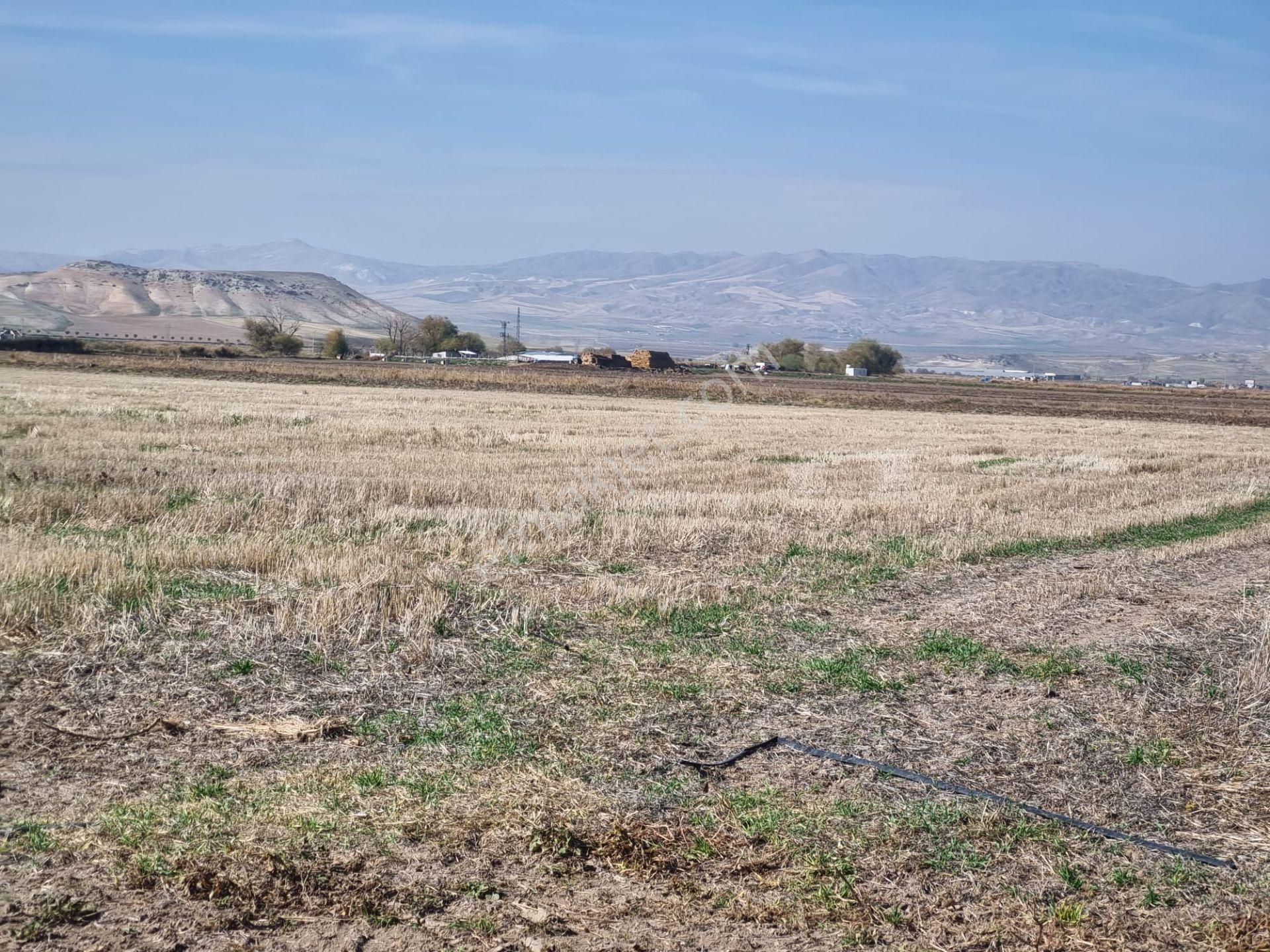 Temelli Malıköy Ihlamurkent Karşısı Satılık İmarlı Arsa - Görsel 5