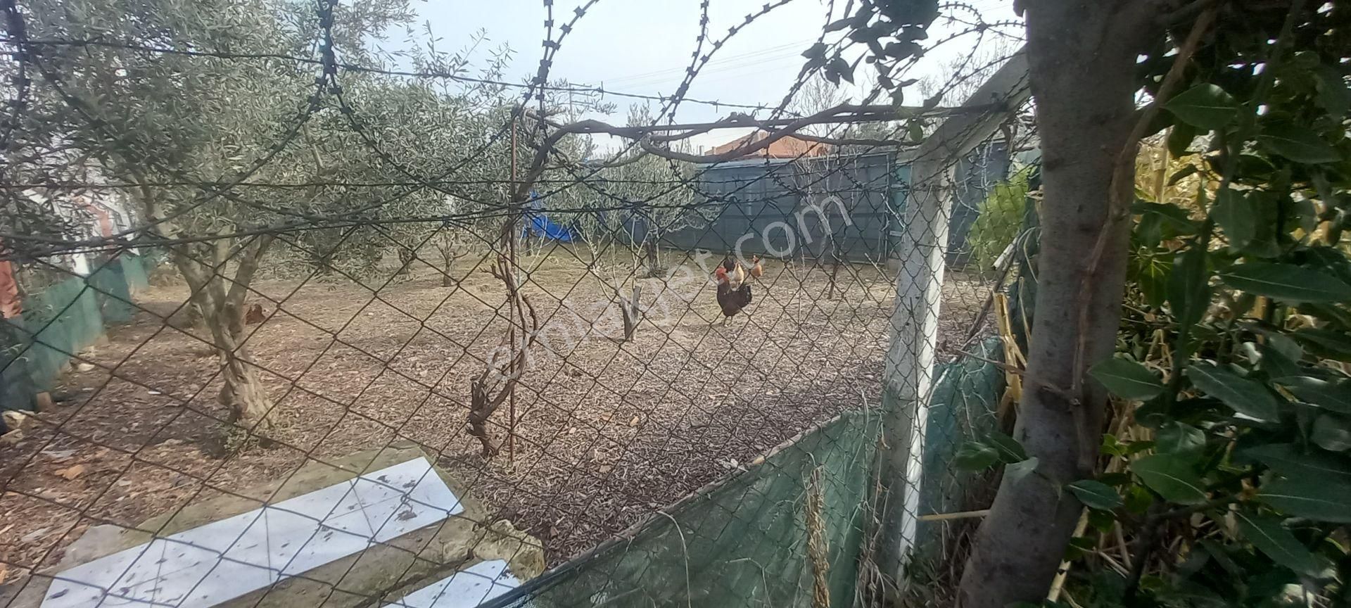 Akhisar Kayalıoğlun Da Satılık Kunut İmarlı 345 M2 Köşe Arsa 3.000.000 Tl - Görsel 5