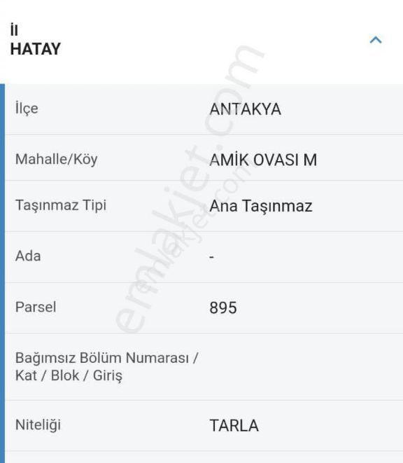 HATAY HAVALİMANI BÖLGESİNDE YATIRIMLIK SULAK ARAZİ - Görünüm 3