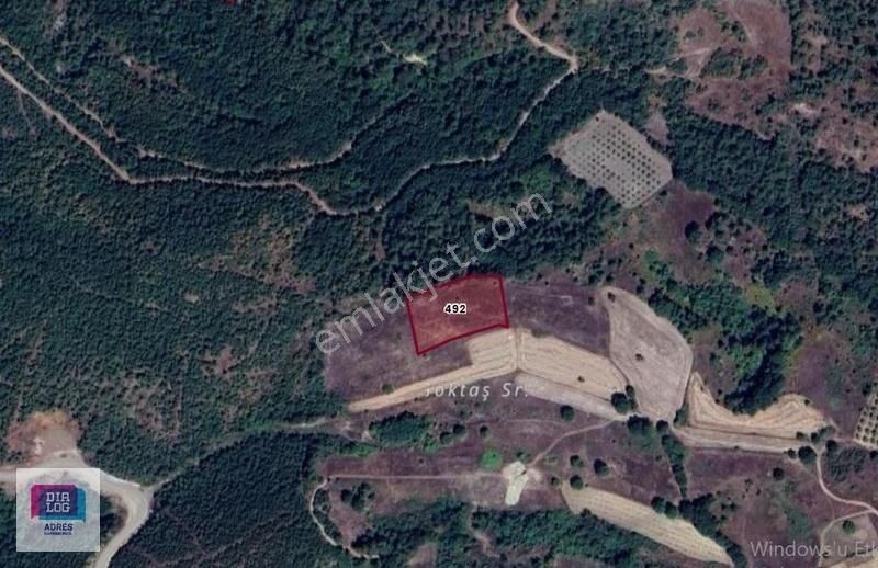 Dialog Adres'ten Bursa M.kemalpaşa Yenikızılelma'da Satılık Arsa