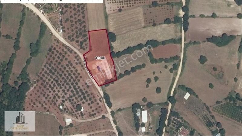 Kestel Ümitalanda 1.920 M2 Köyün Dibinde Satılık Tarla - Görsel 2