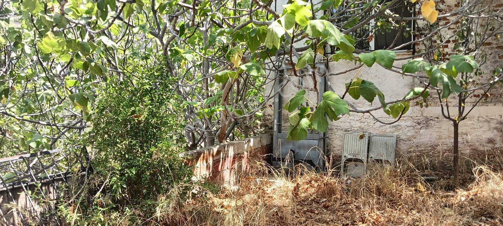 İzmir Bayındır Yusuflu Köyü Bahçeli, Atölyeli, Müştemilatlı Müstakil Ev - Görsel 29