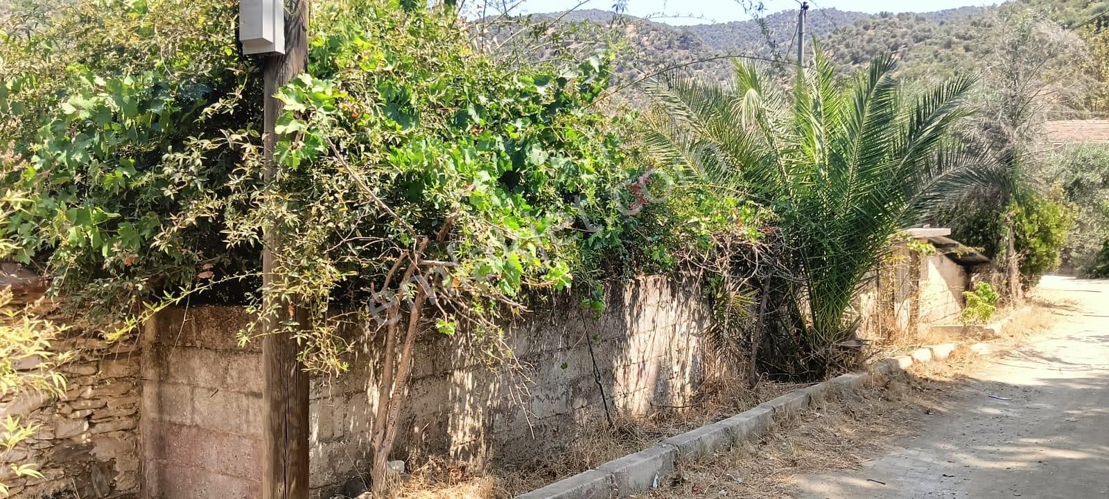 İzmir Bayındır Yusuflu Köyü Bahçeli, Atölyeli, Müştemilatlı Müstakil Ev - Görsel 30