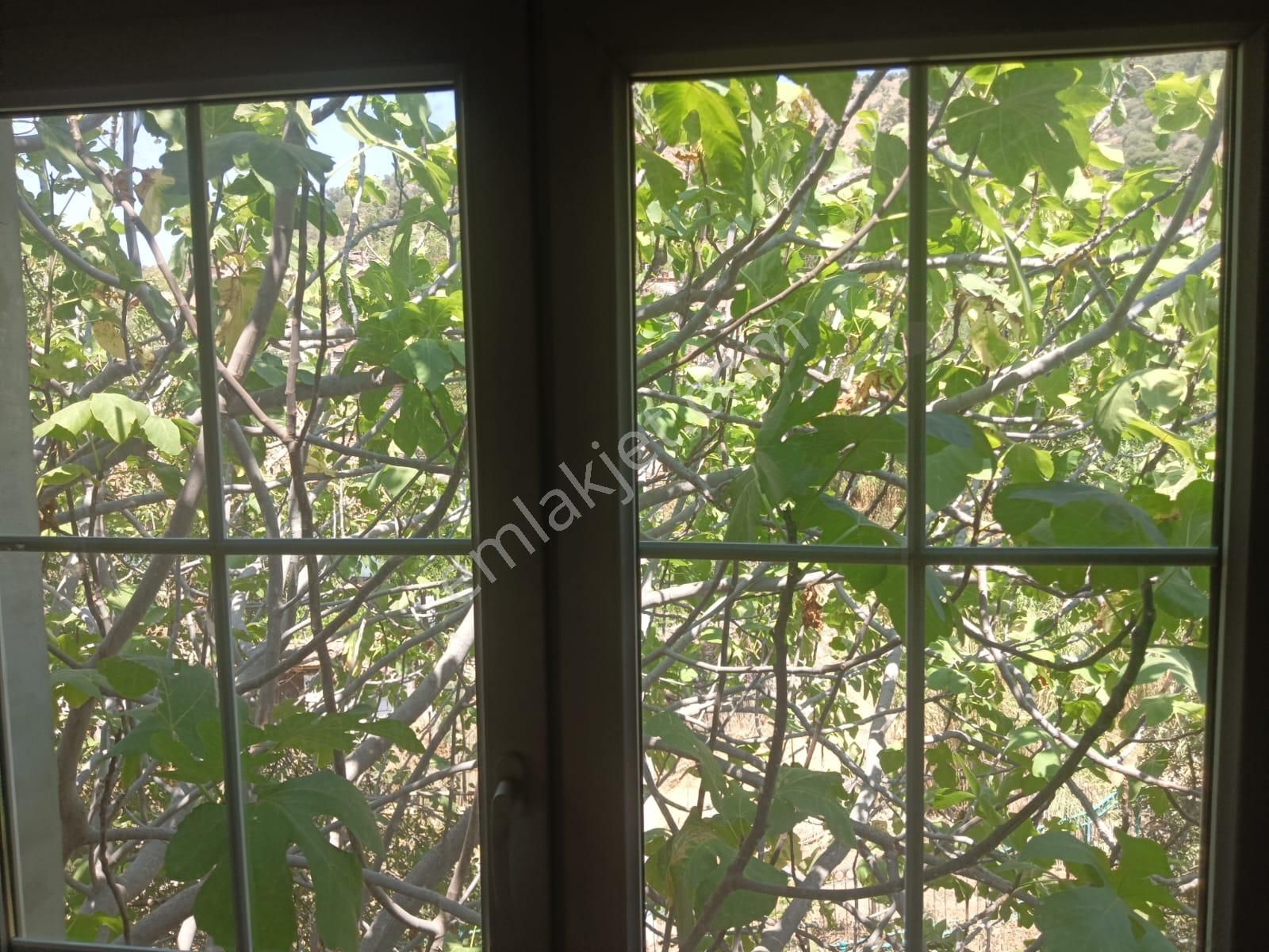 İzmir Bayındır Yusuflu Köyü Bahçeli, Atölyeli, Müştemilatlı Müstakil Ev - Görsel 2