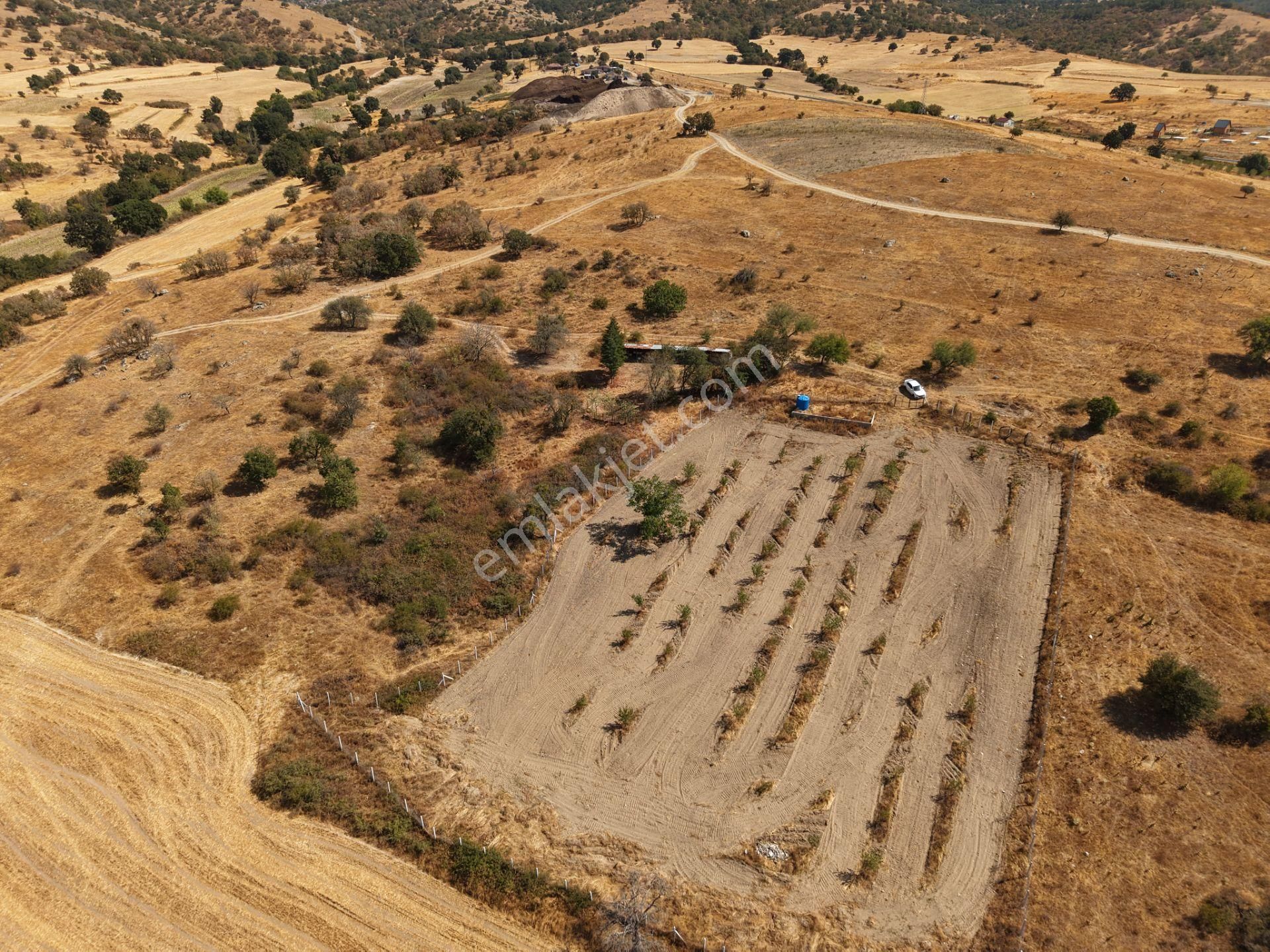 Mayadan Kırklareli Kofçaz Elmacık Köyünde 4.594 M2 Tarla