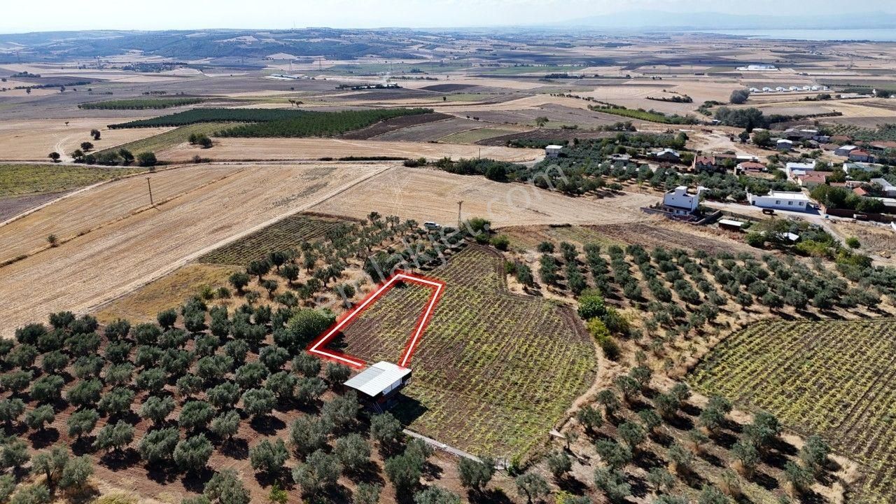 Remax Area'dan Manyas Gölü Manzaralı 779,23 M² Büyüklüğünde Satılık Bağ! - Görsel 5