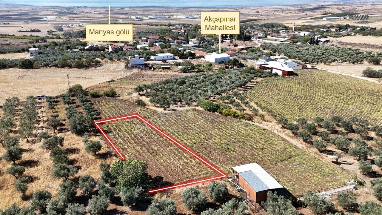 Remax Area'dan Manyas Gölü Manzaralı 779,23 M² Büyüklüğünde Satılık Bağ!