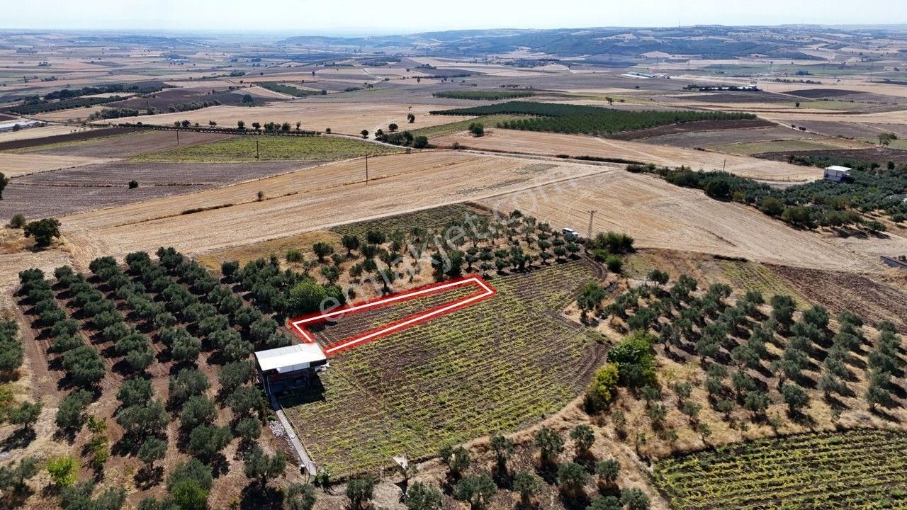 Remax Area'dan Manyas Gölü Manzaralı 779,23 M² Büyüklüğünde Satılık Bağ! - Görsel 6