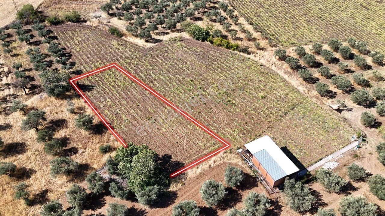 Remax Area'dan Manyas Gölü Manzaralı 779,23 M² Büyüklüğünde Satılık Bağ! - Görsel 3