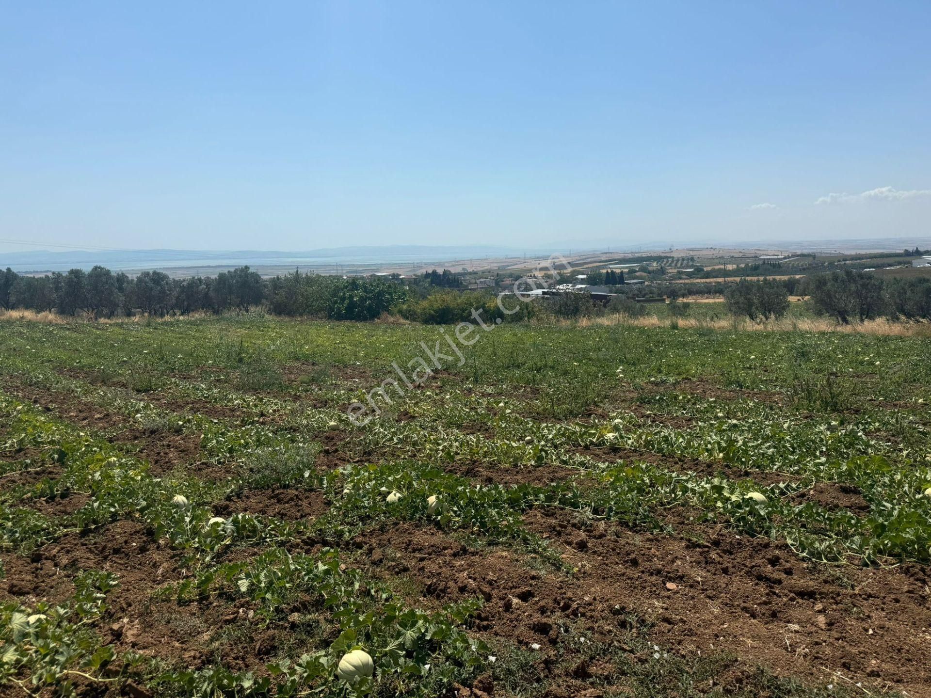 Remax Area'dan Manyas Gölü Manzaralı 779,23 M² Büyüklüğünde Satılık Bağ! - Görsel 11