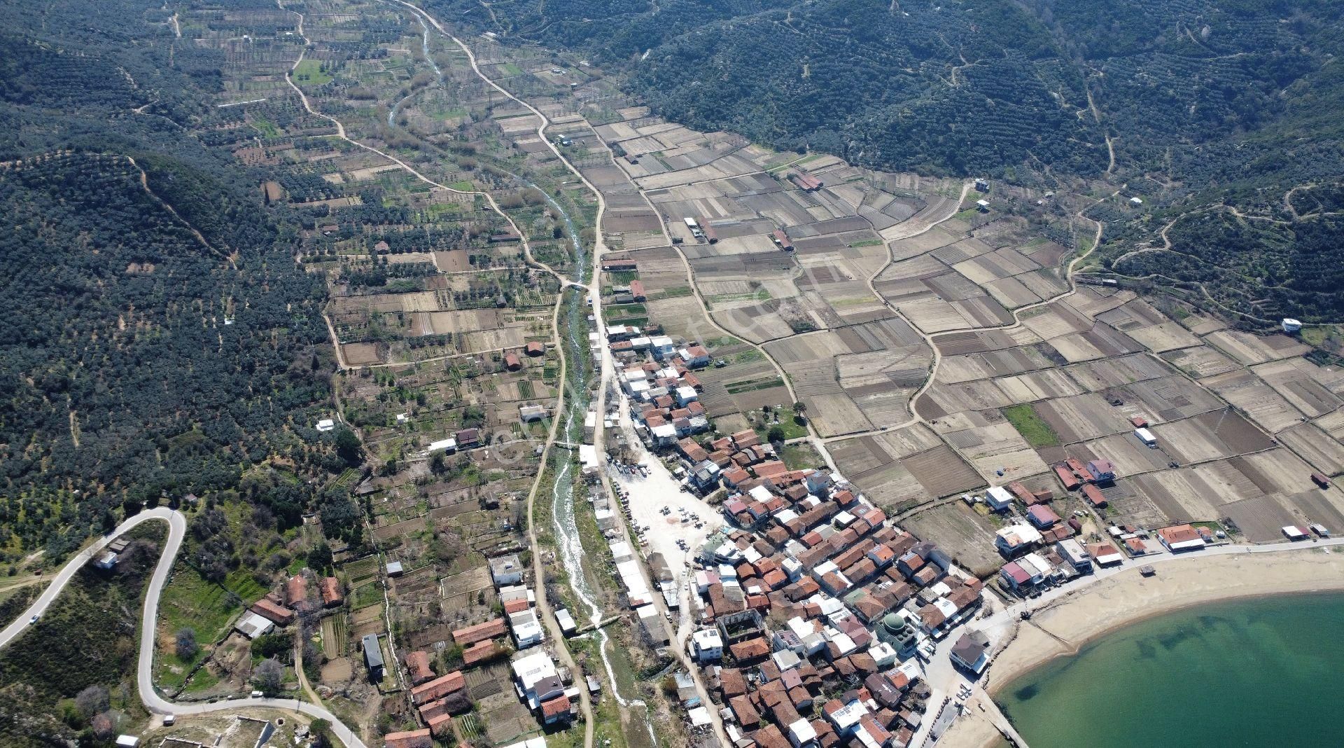 Resmi Yola Cephe! Erdek Ballıpınar'da 259 M2 Zeytinlik - Görsel 28