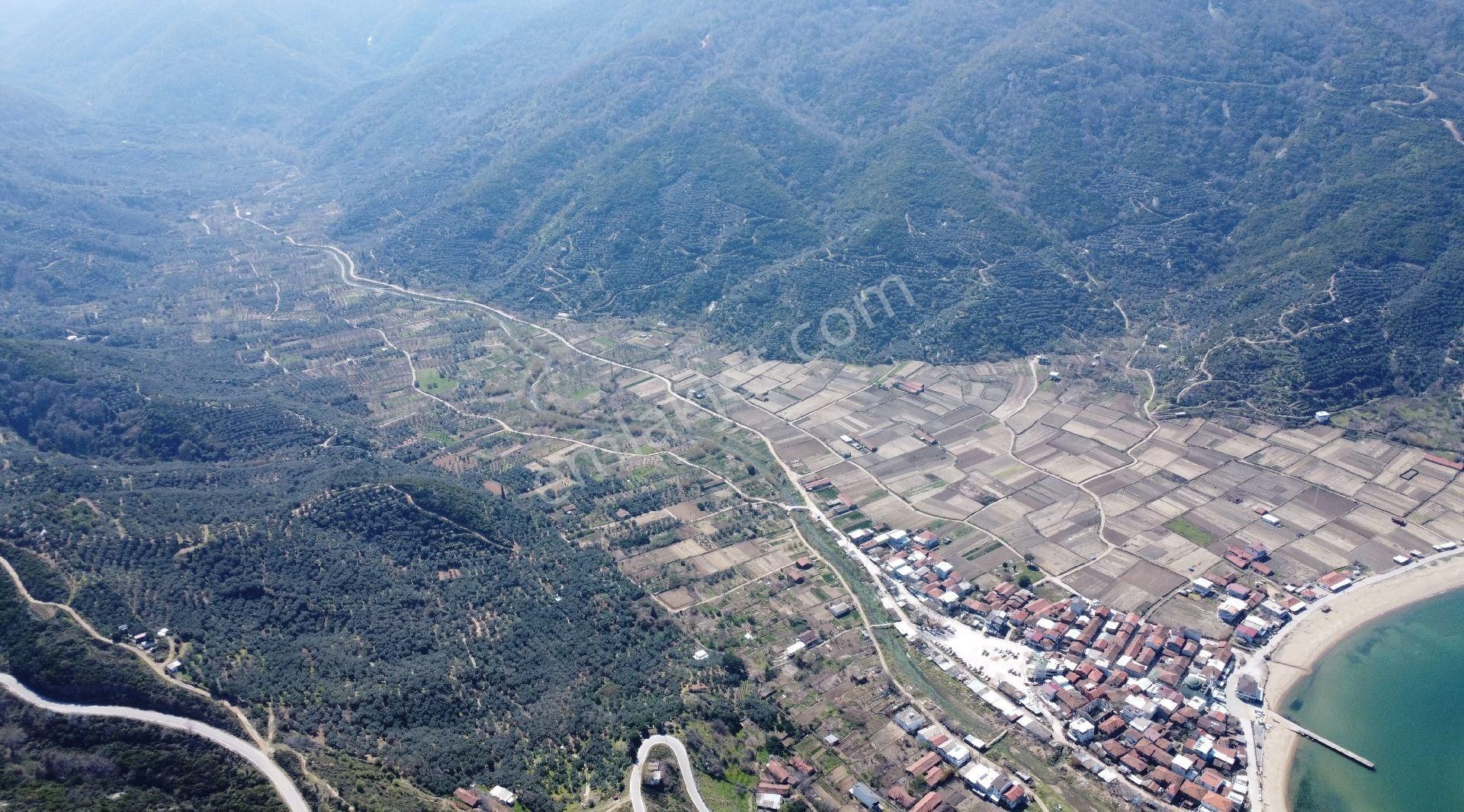 Resmi Yola Cephe! Erdek Ballıpınar'da 259 M2 Zeytinlik - Görsel 2