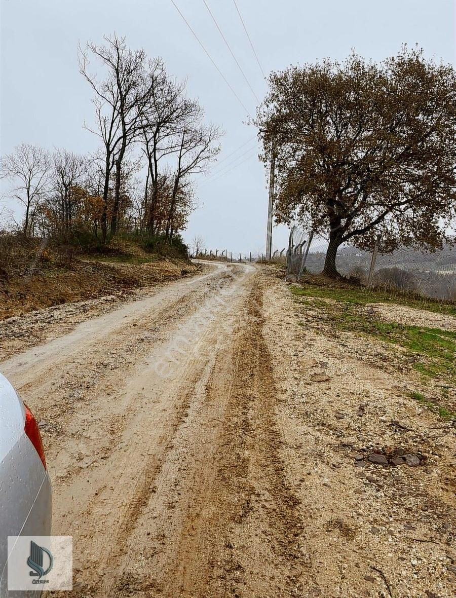 Yalova Merkez Kadıköy Fırsat Tarla! - Görsel 6