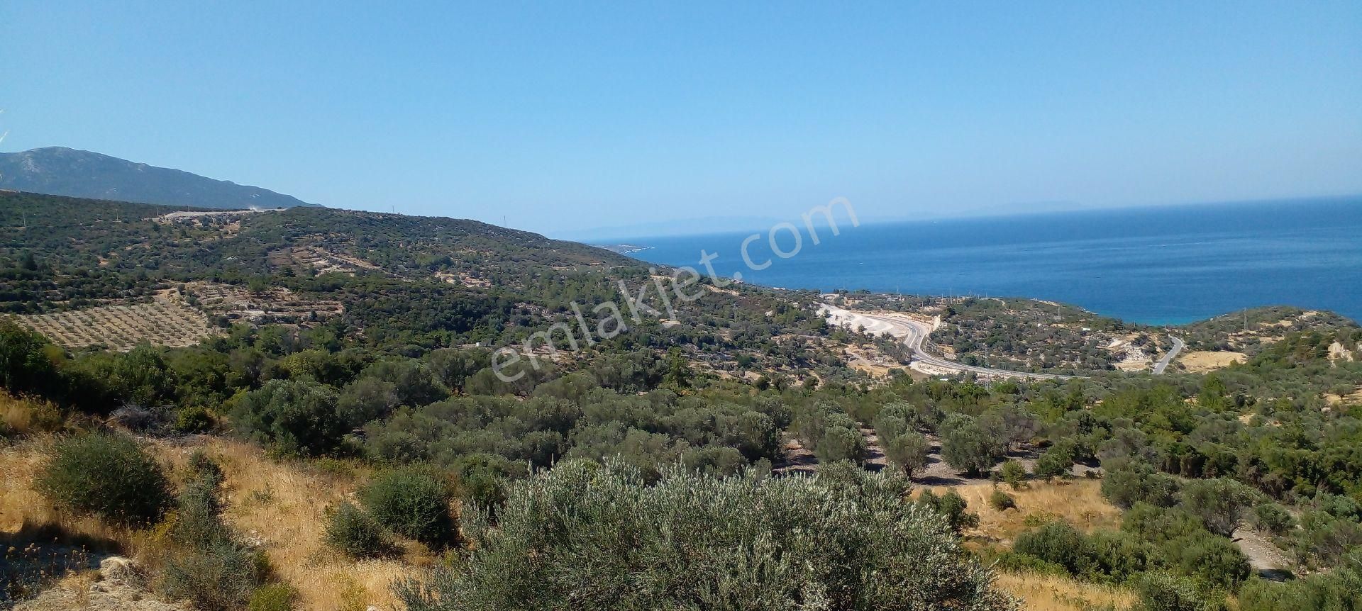 Mor Çiçek Emlak Mordoğanda Deniz Manzaralı Tarla - Görsel 4