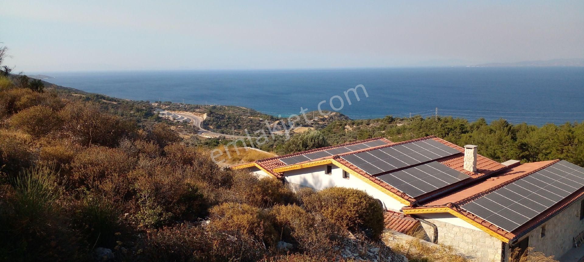 Mor Çiçek Emlak Mordoğanda Deniz Manzaralı Tarla - Görsel 17
