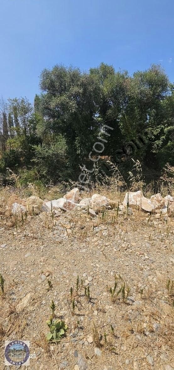 Muğla Yatağan'da Çay Kenarında Satılık Tarla