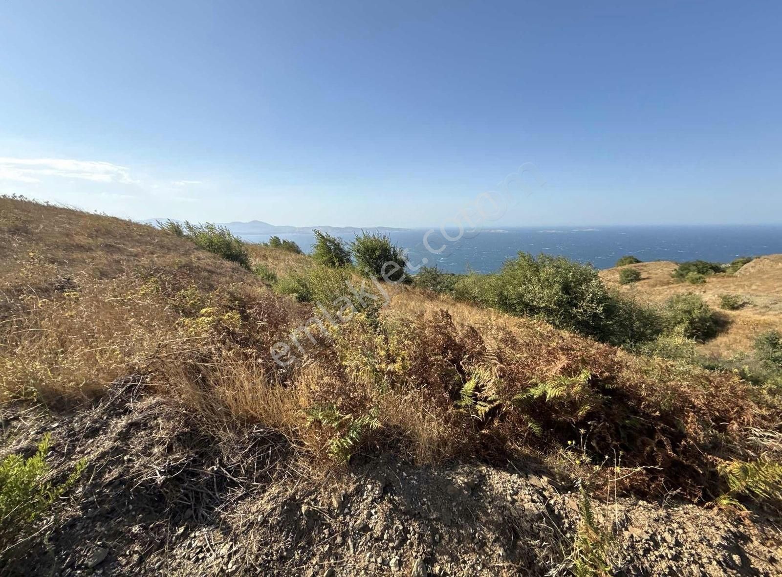 Frang Group'tan -bandırma Sahil Yenicede Asfalta Cephe 2.782 M2 - Görsel 33