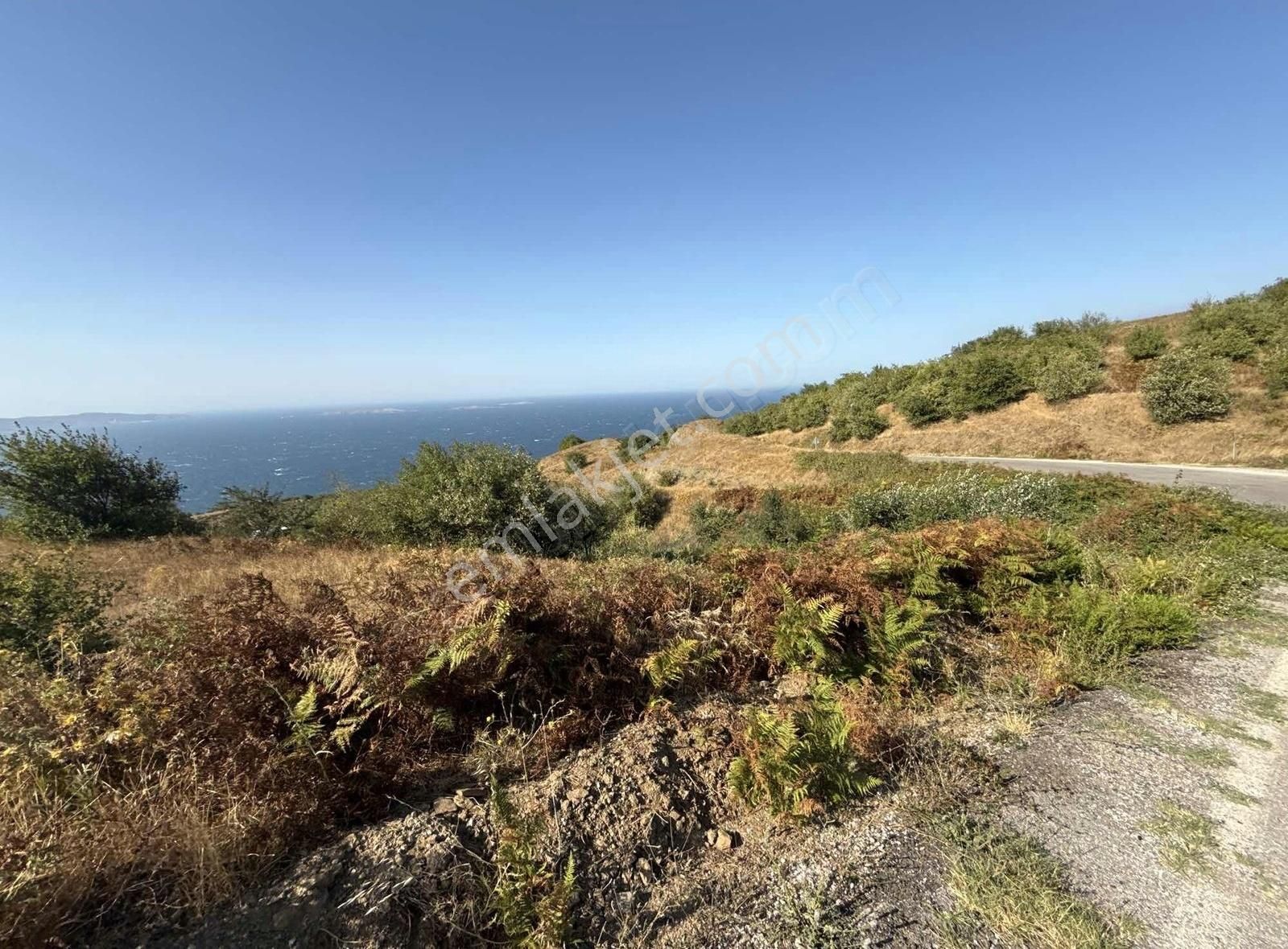 Frang Group'tan -bandırma Sahil Yenicede Asfalta Cephe 2.782 M2 - Görsel 31